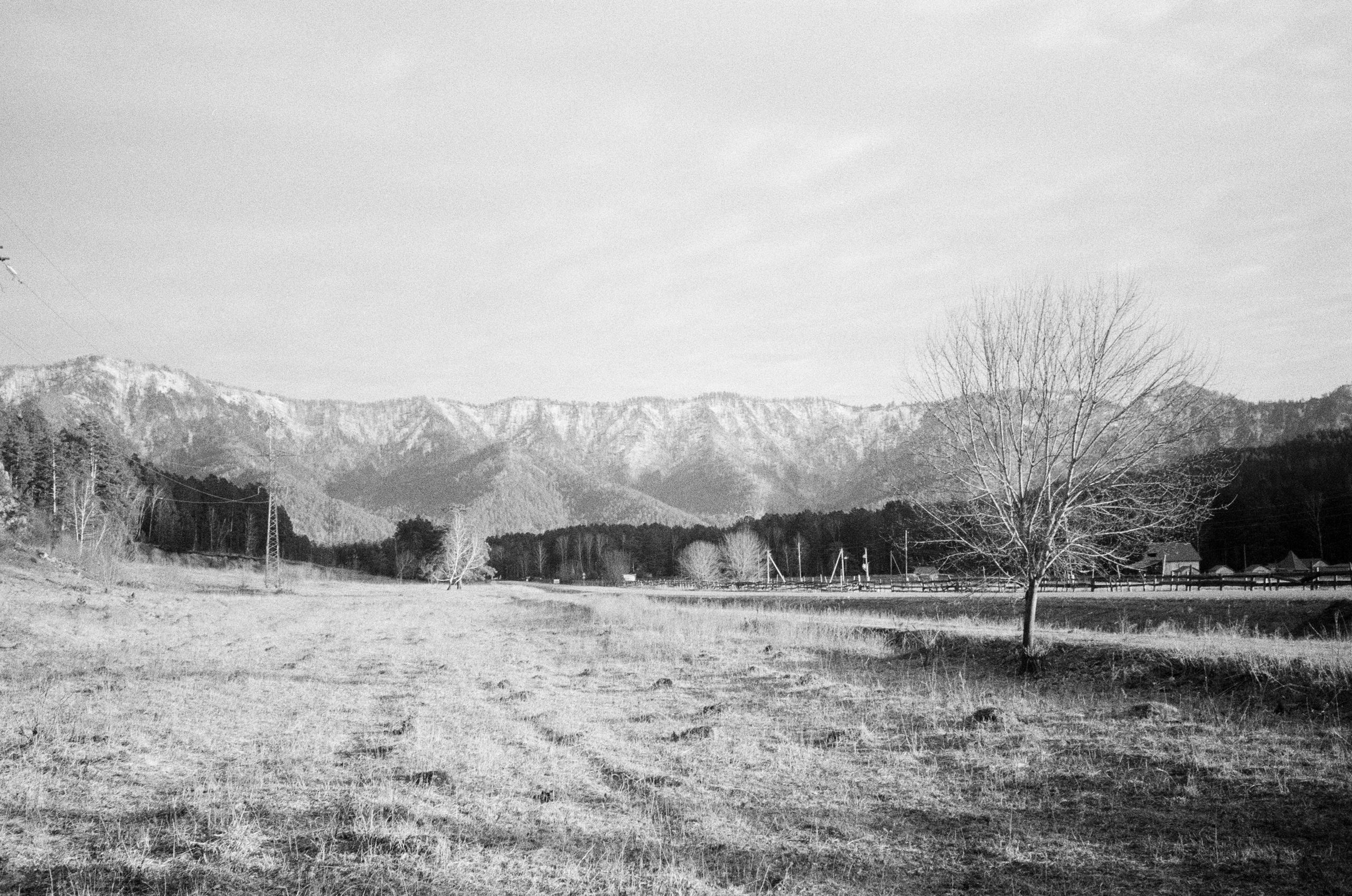 Olympus AF-10 SUPER / Ilford PAN 400 / Алтай, зима 2023 год