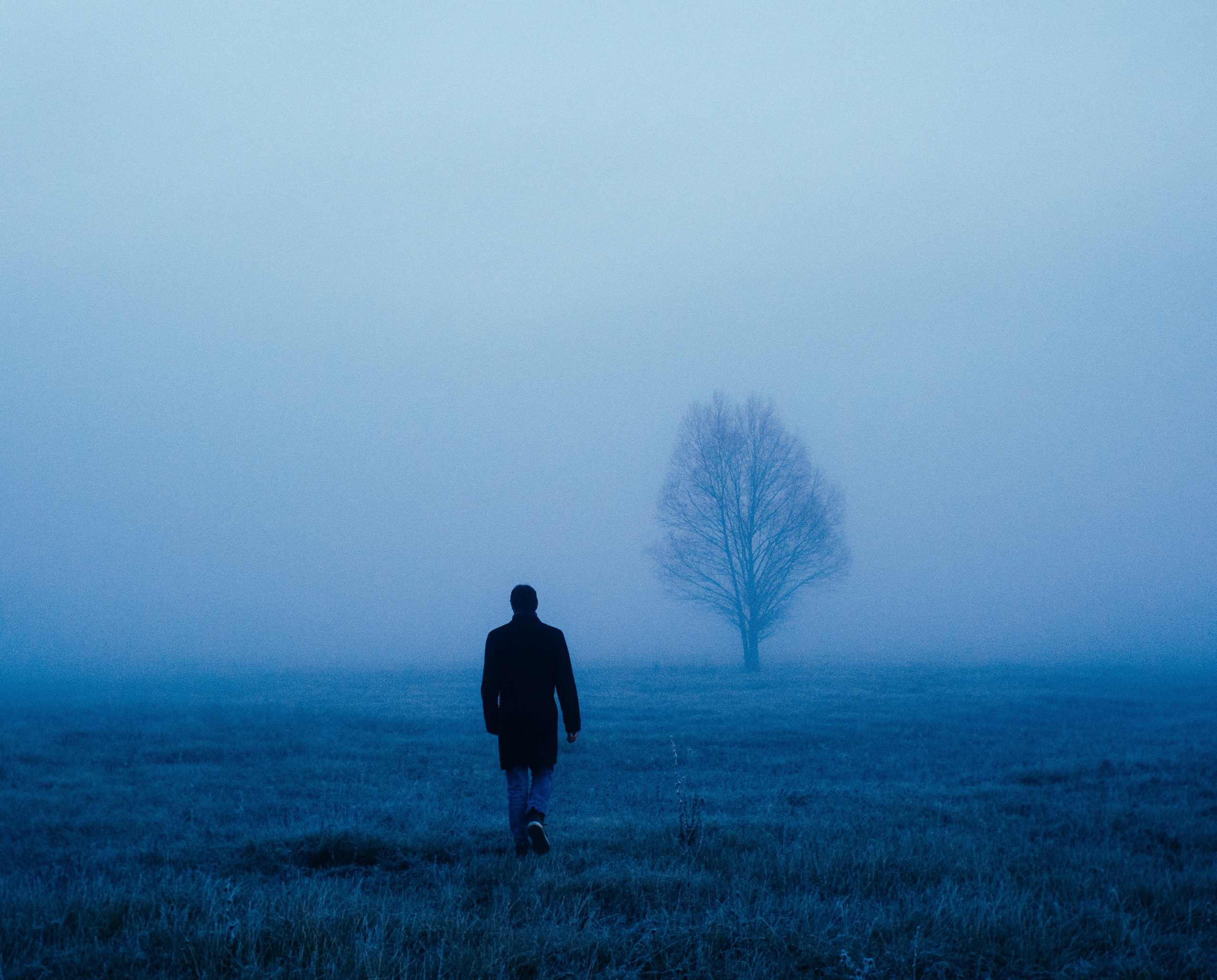 Nightwalker. Фотоистории