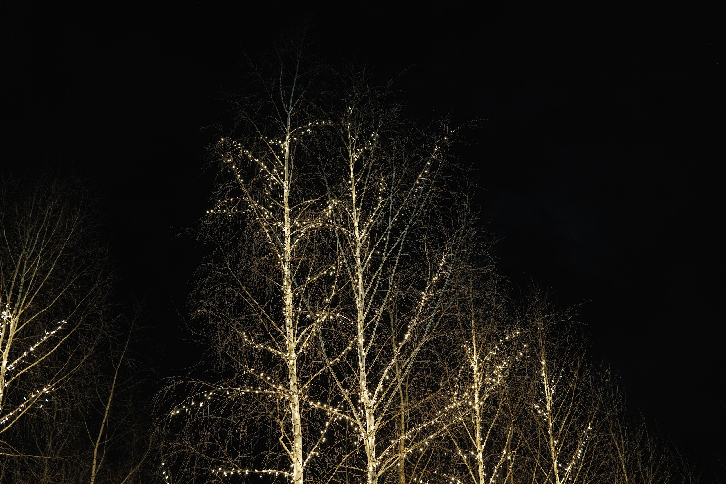 Goritsy | Новый год 2024. Свадебный и репортажный фотограф в Воронеже Сергей Максимов