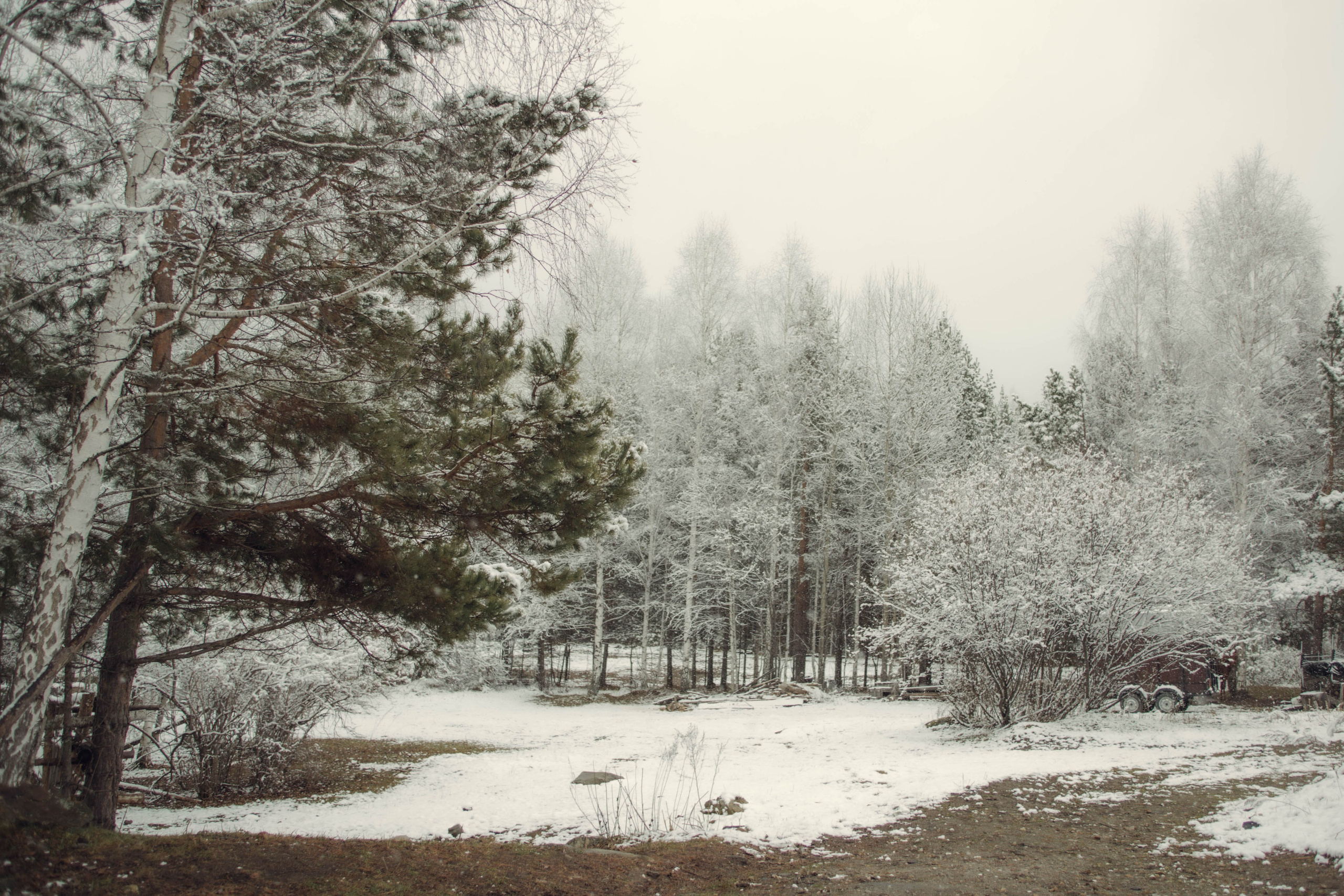 Зимняя сказка. Фотограф Елена Бухонина Челябинск