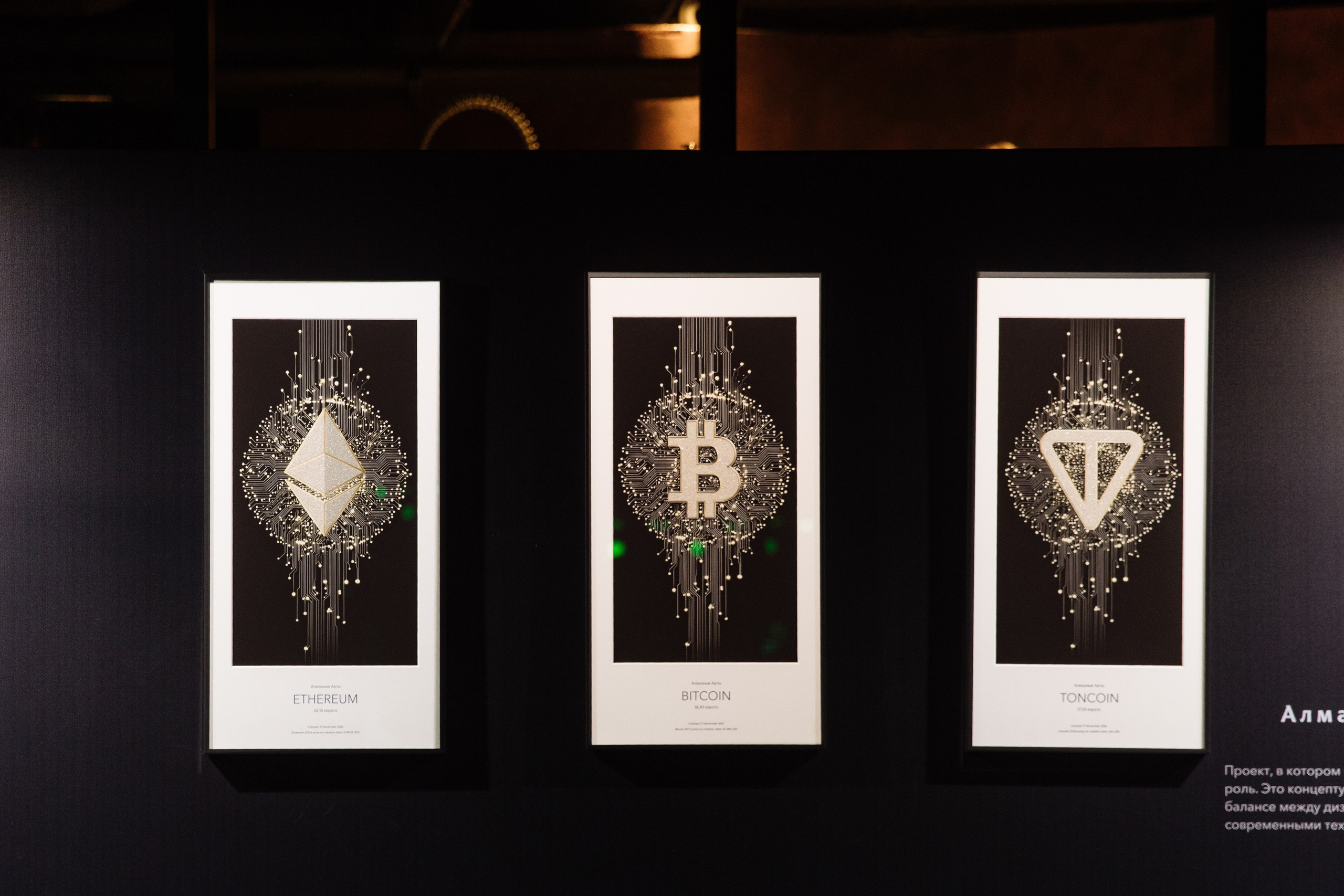 THE TRENDS. Фотограф в Москве