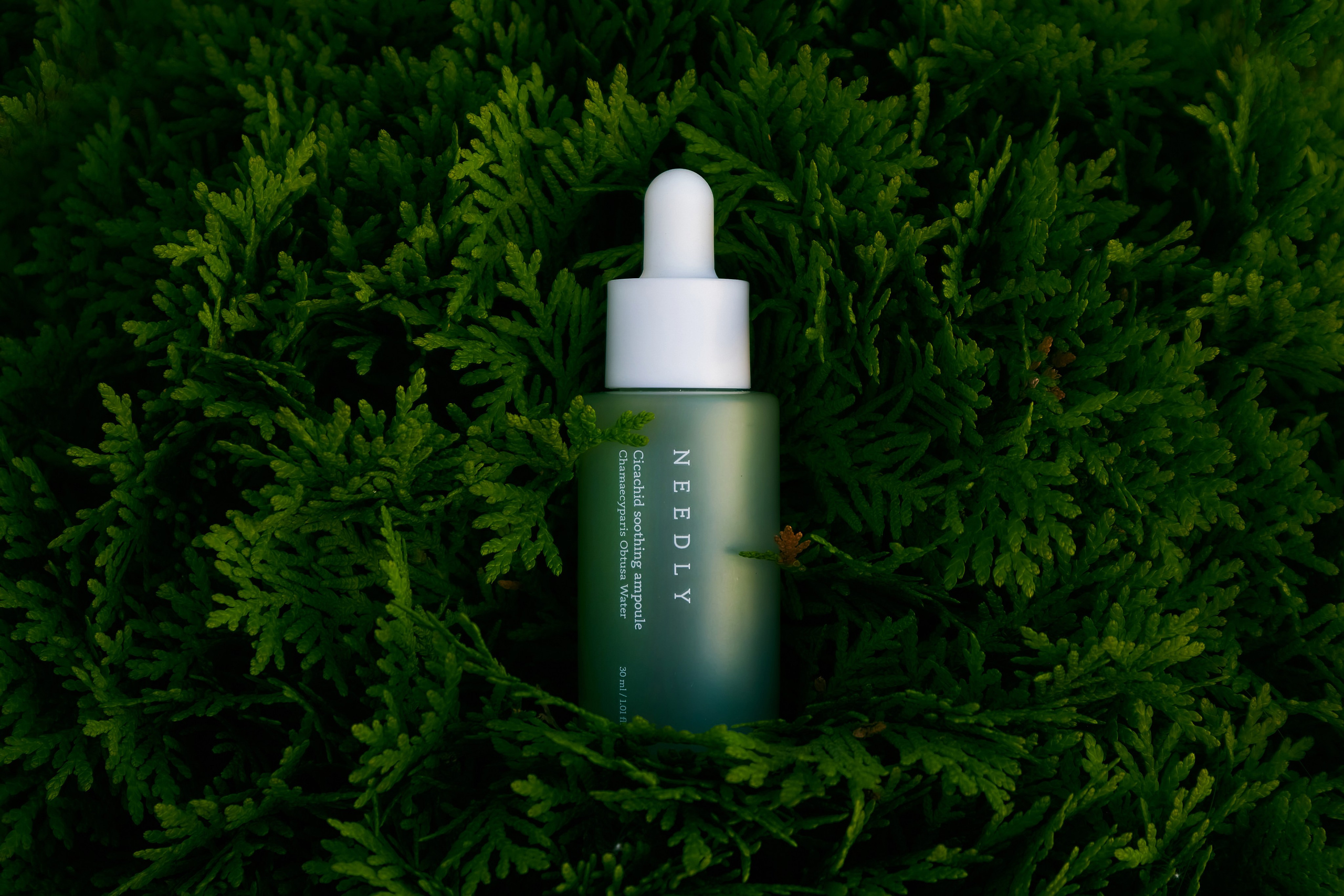 Общее портфолио. Агентство «Кооператив»