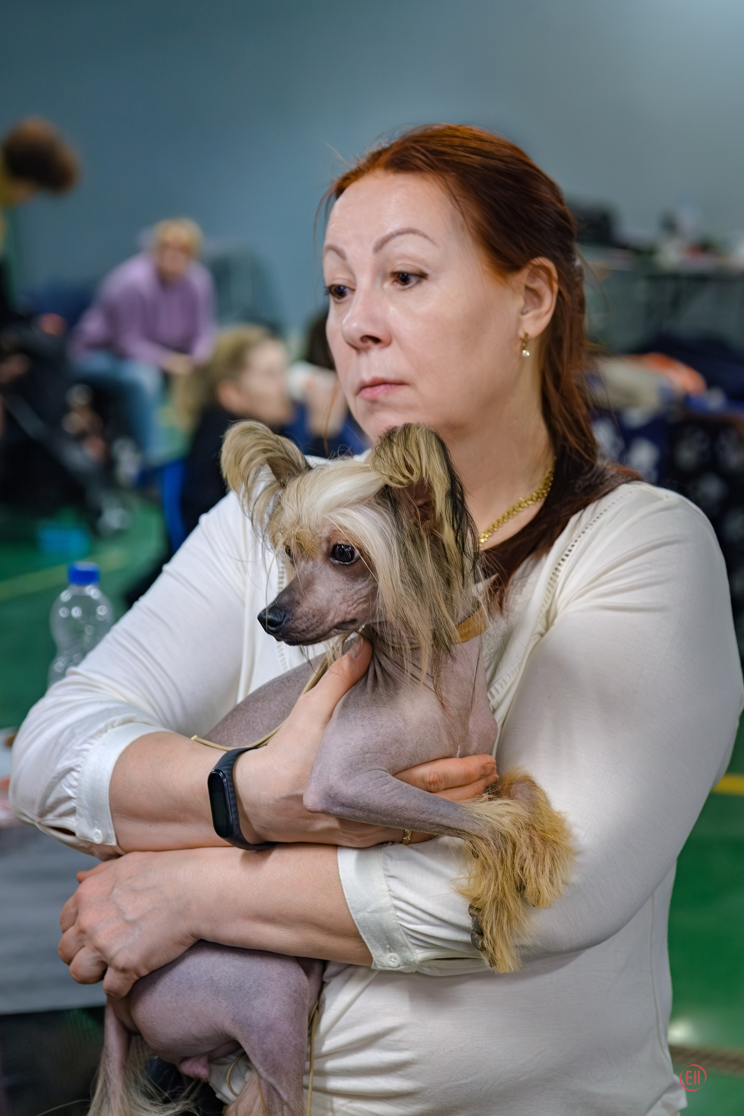 We have completed the 2023 exhibition season. Chinese Crested Dog Kennel Poale Ell