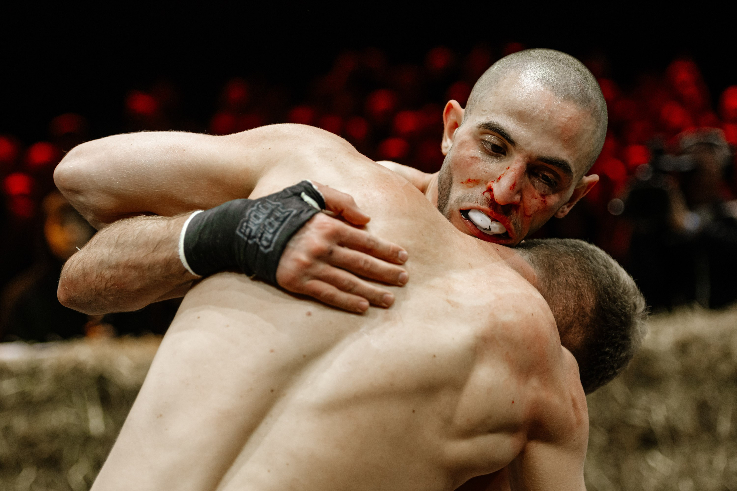 TOP DOG. Максим Комаров — Профессиональный фотограф