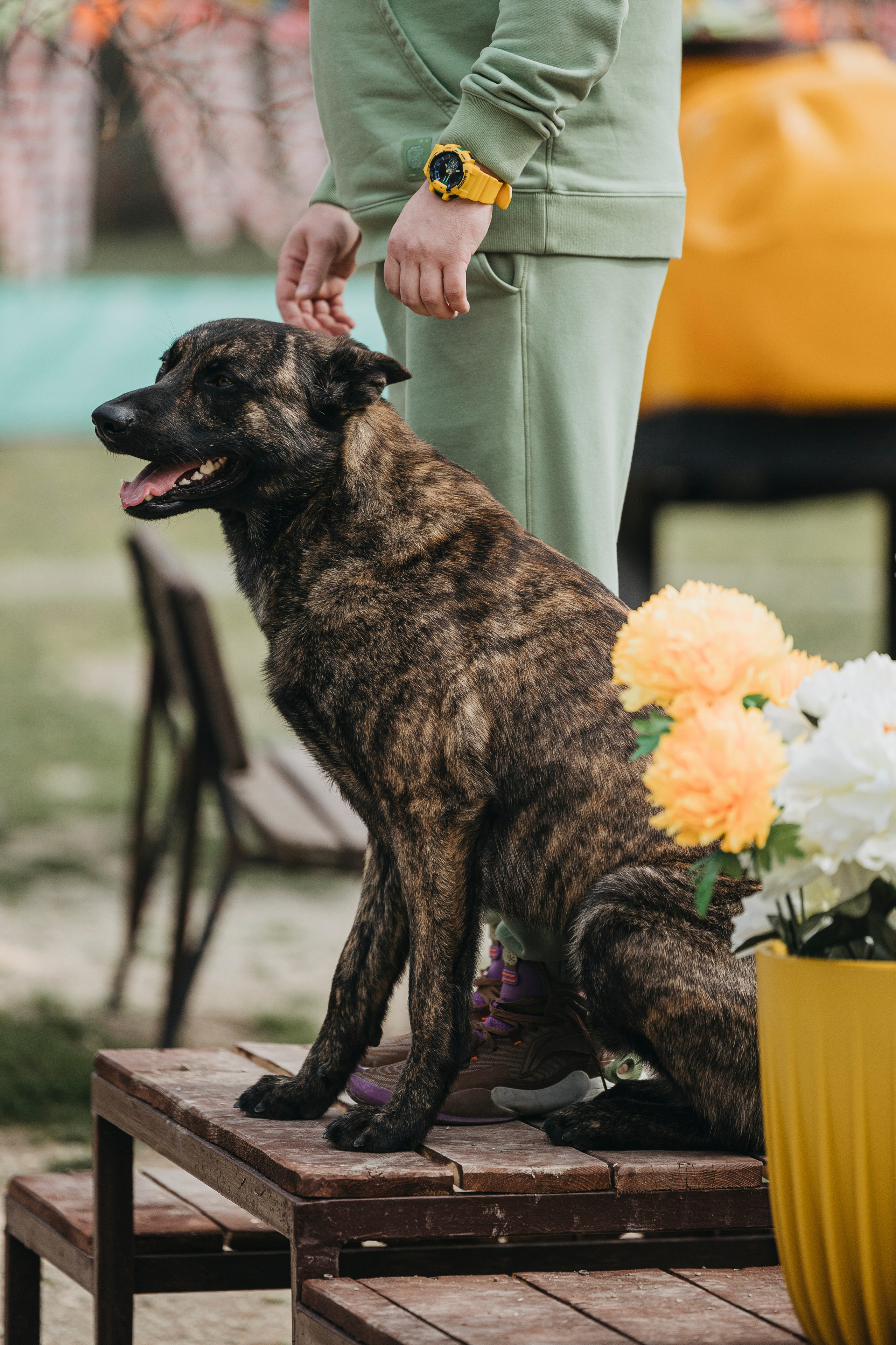 Геленджик Мондьоринг. Фотограф-анималист Анна Маринич