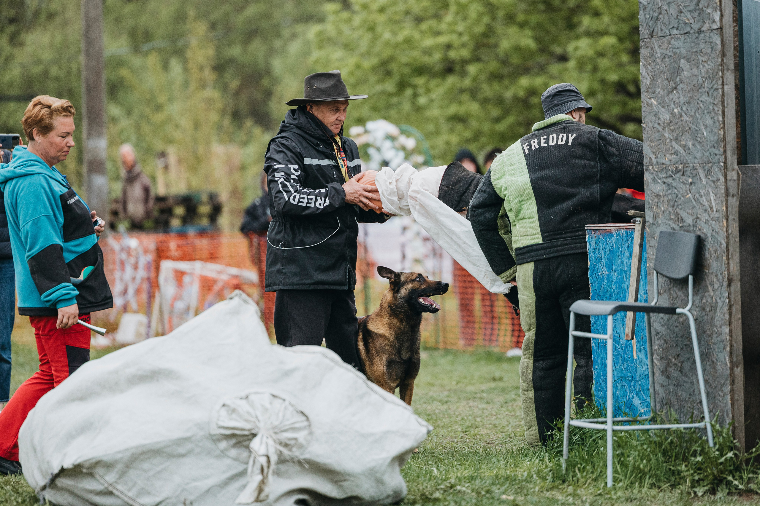 26.05.25 г. Пушкин квалификационные соревнования. Фотограф-анималист Анна Маринич