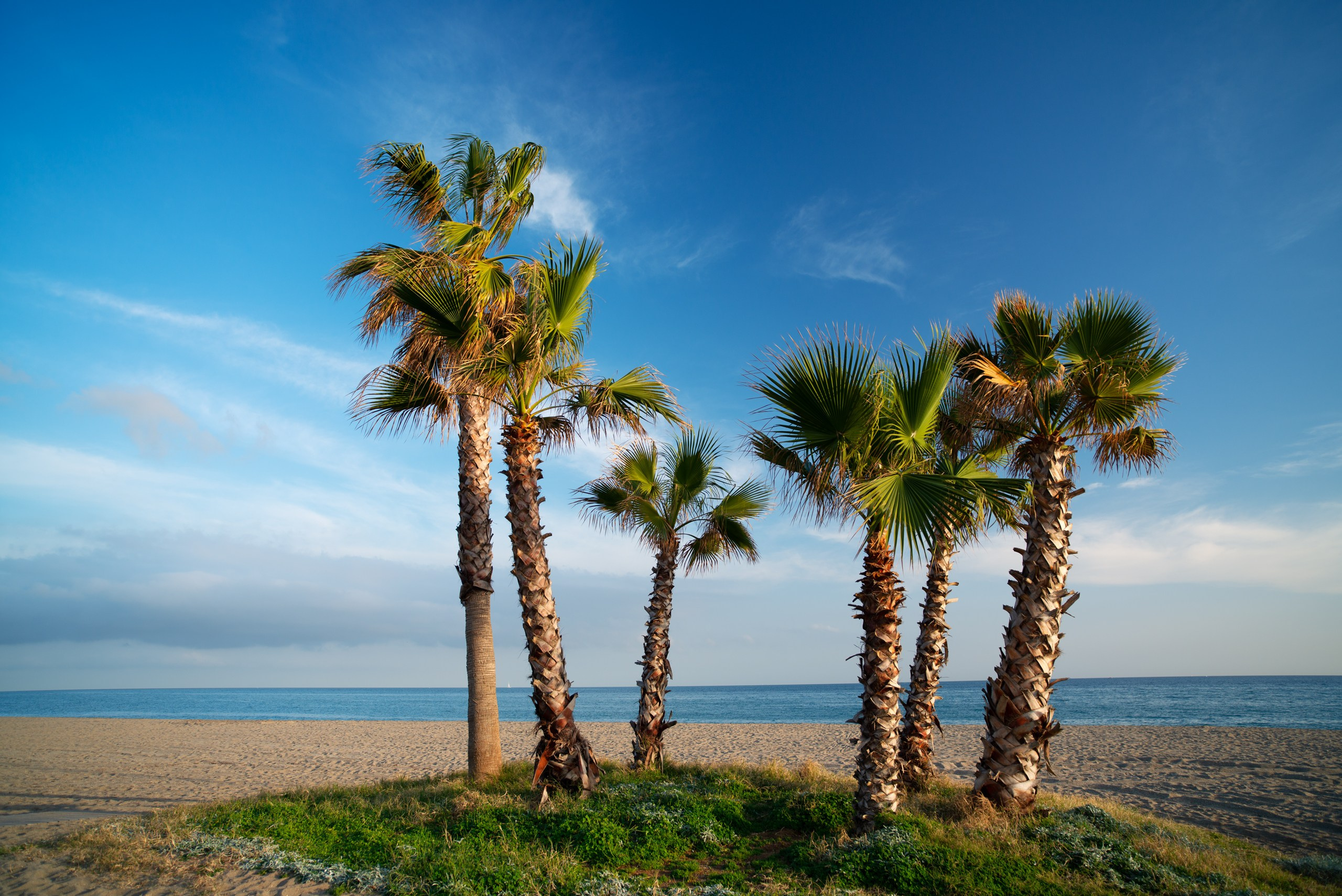 Пейзажная фотография. Авторские стильные фотокартины