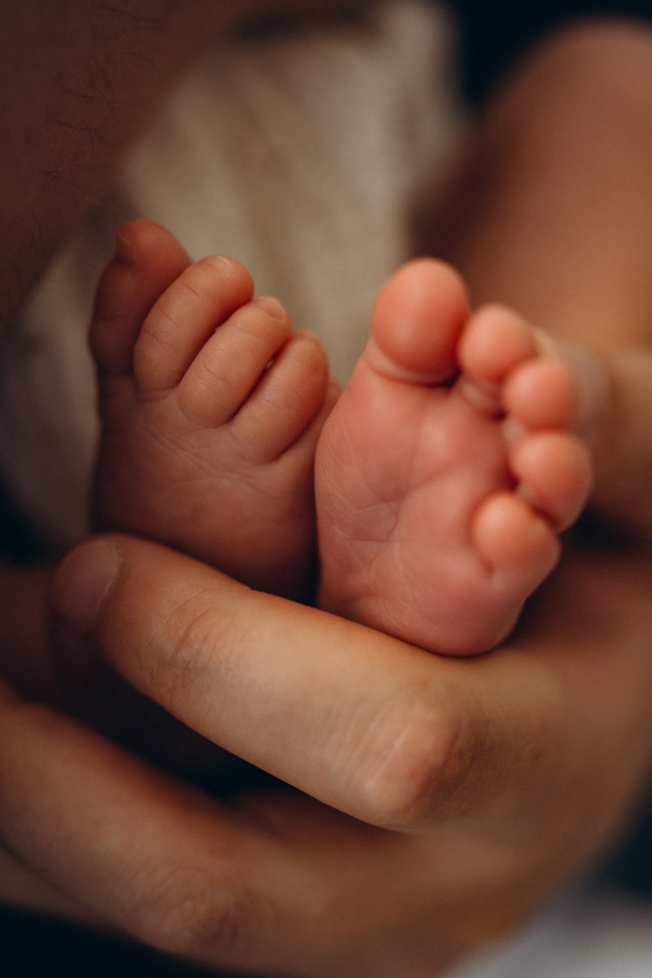 Newborn дома. Кристина Ветрова | ФОТОГРАФ | Москва