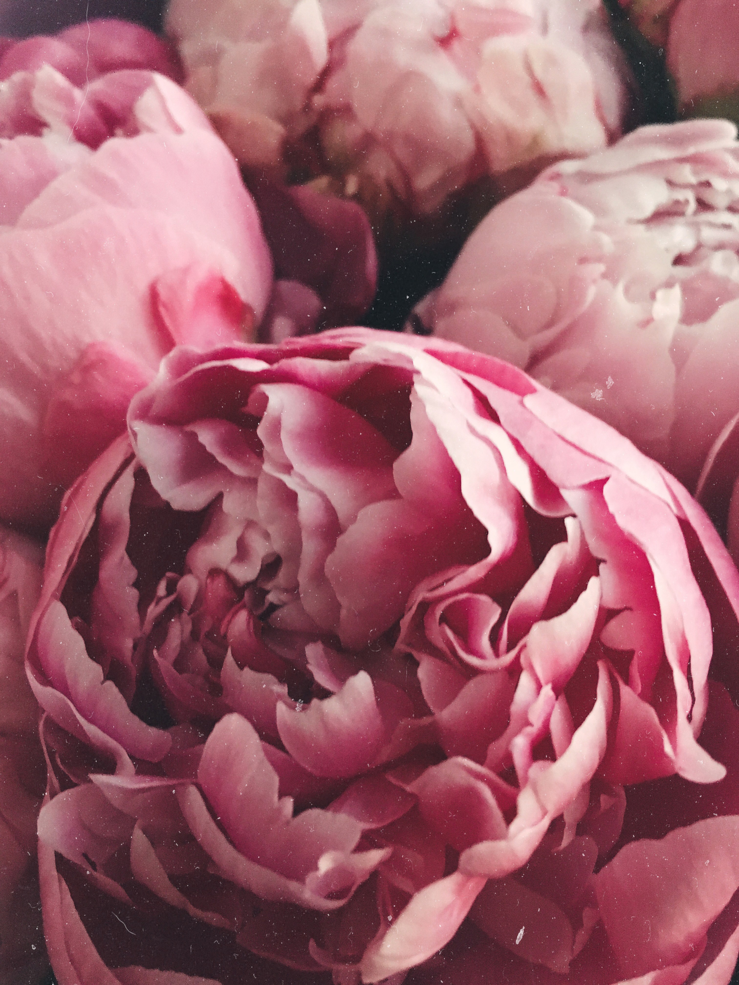 Визуальный дневник. Портретный фотограф в Москве Гахраманова Екатерина