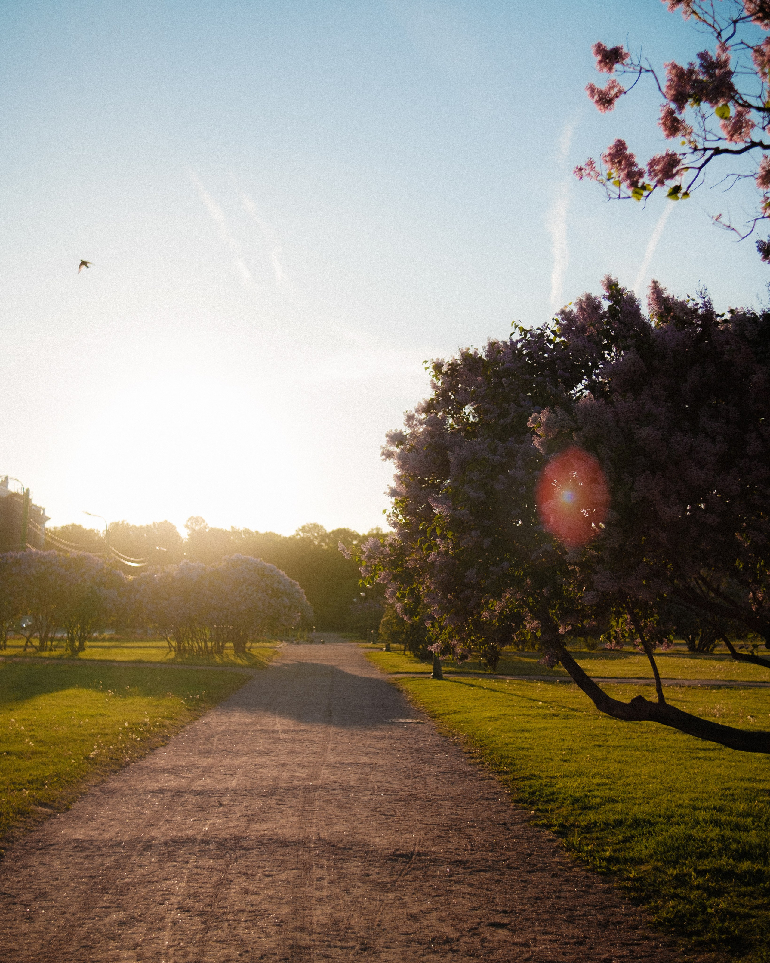 Утром на марсовом поле. Михаил Долганов