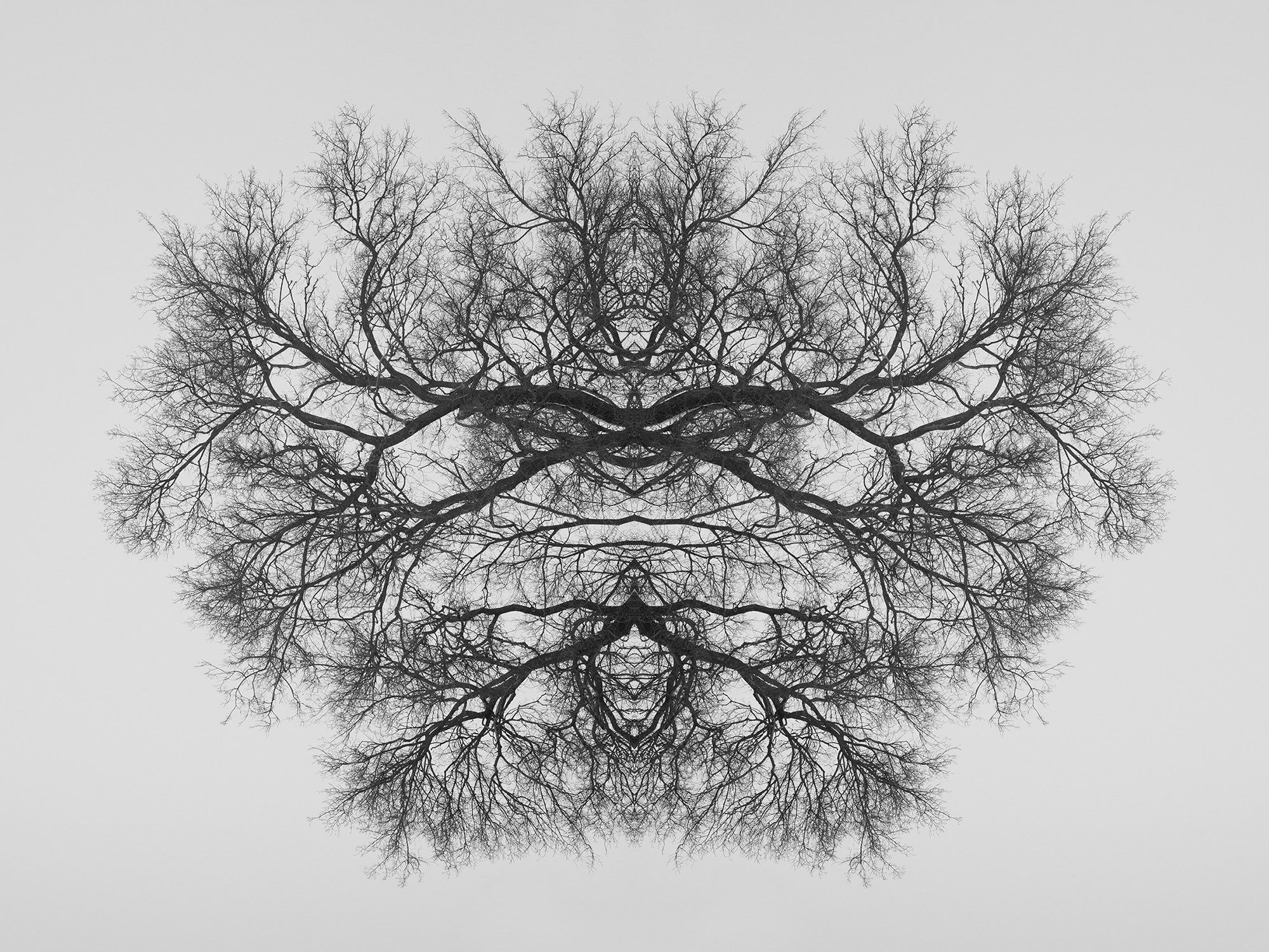 Острова. Анна Порошина — междисциплинарный художник