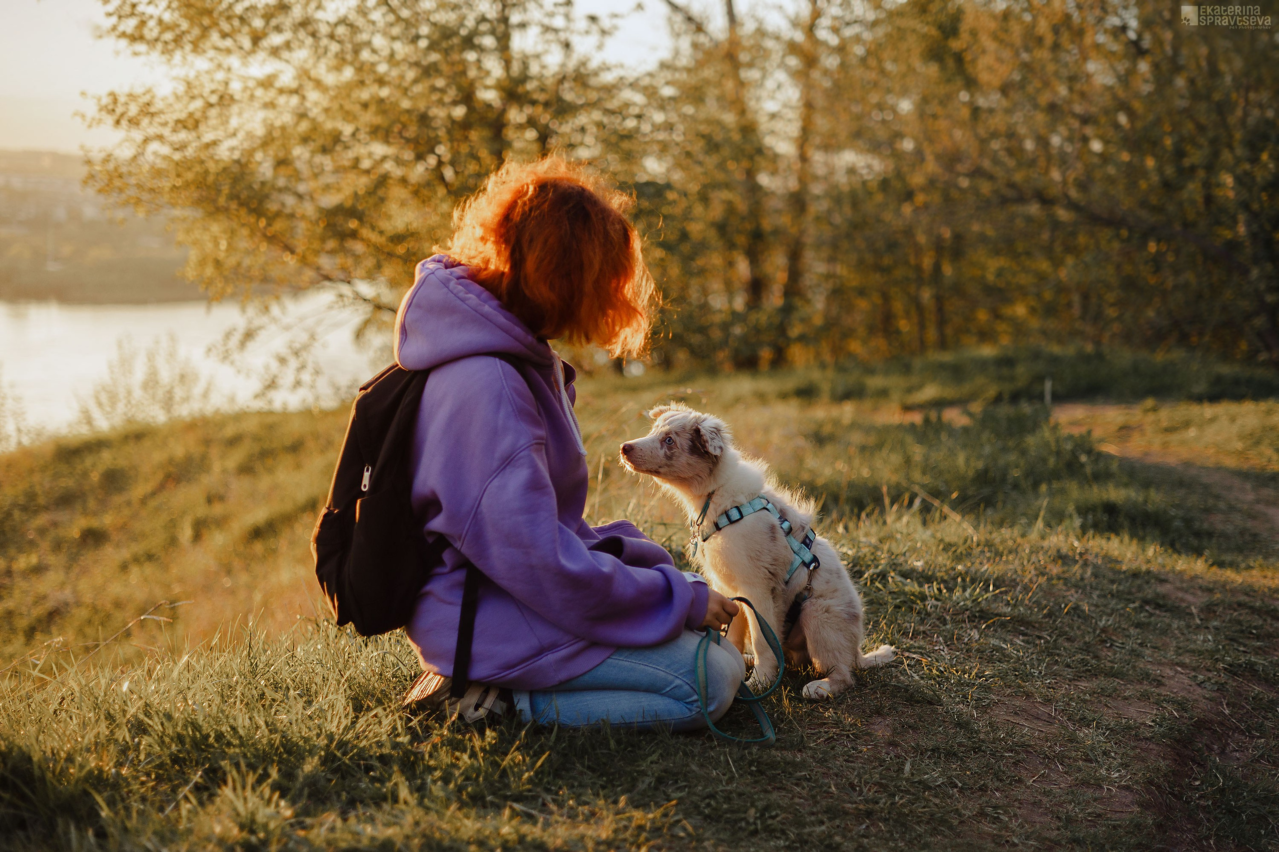 Екатерина Справцева фотограф анималист - портфолио фото. Фотограф Анималист Екатерина Справцева в Нижнем Новгороде