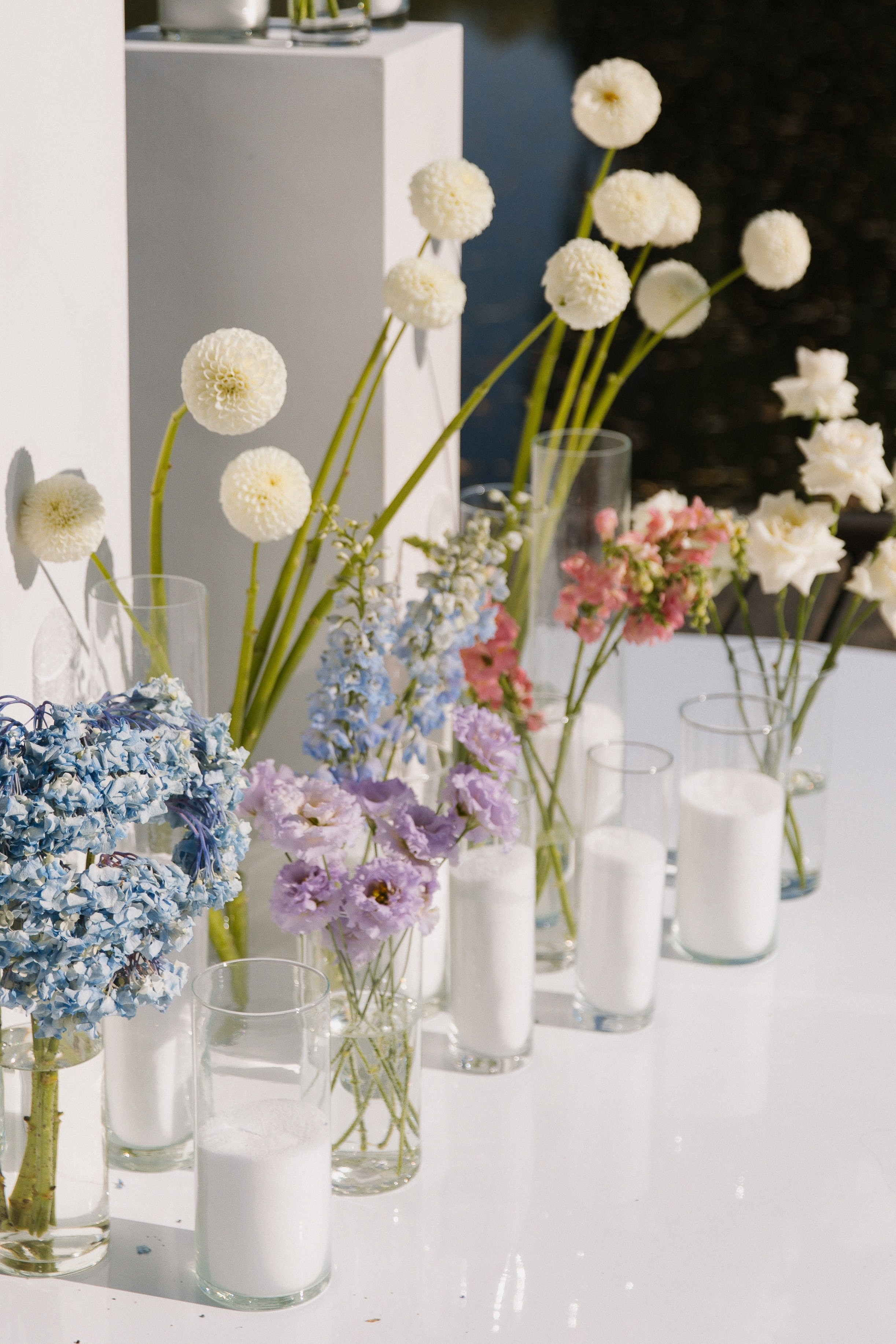 V ❤ A. Syrovatkina_Photographer.ru