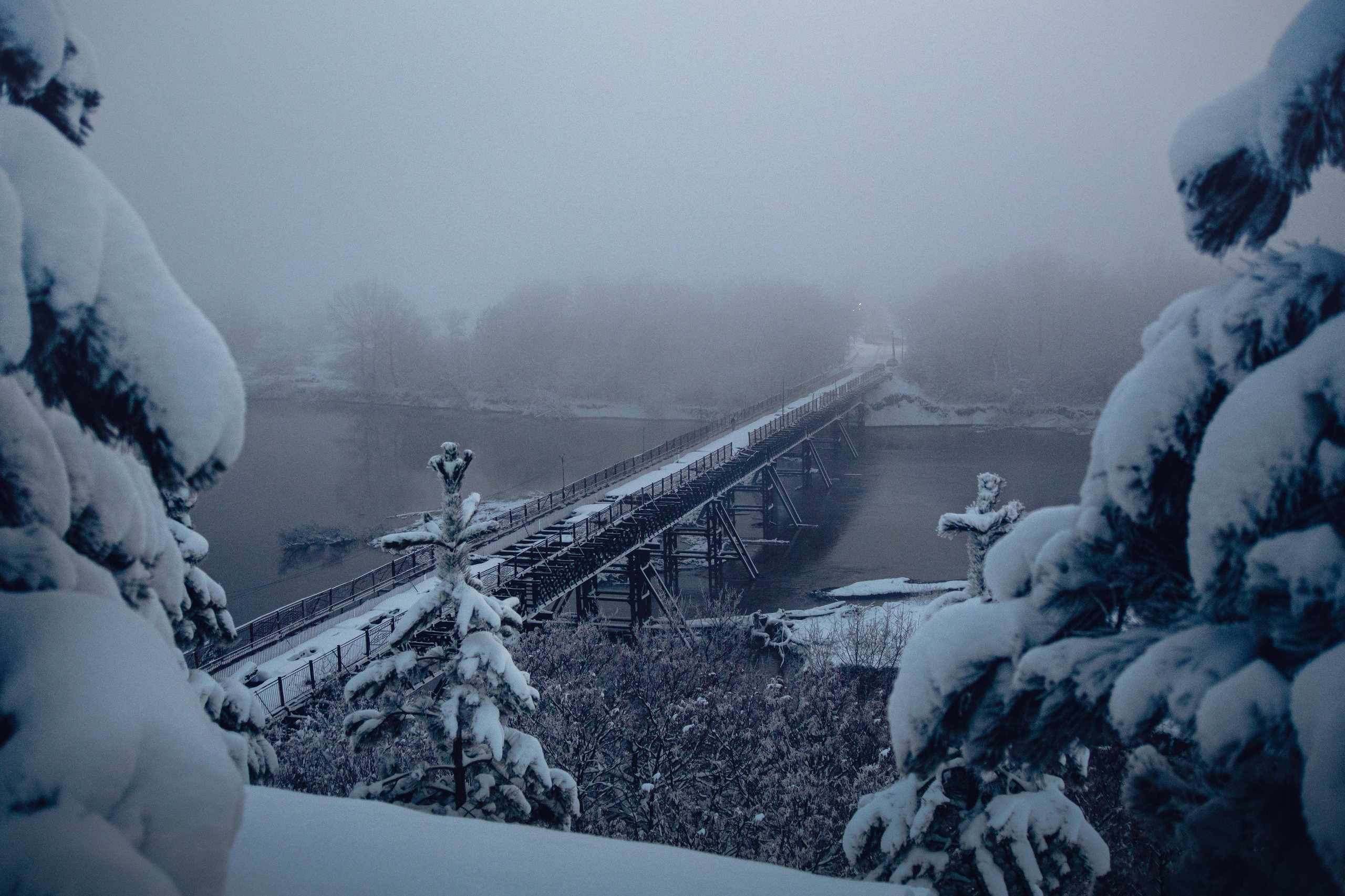 Зима. Семейный и детский фотограф в Москве Ольга Кривенцова
