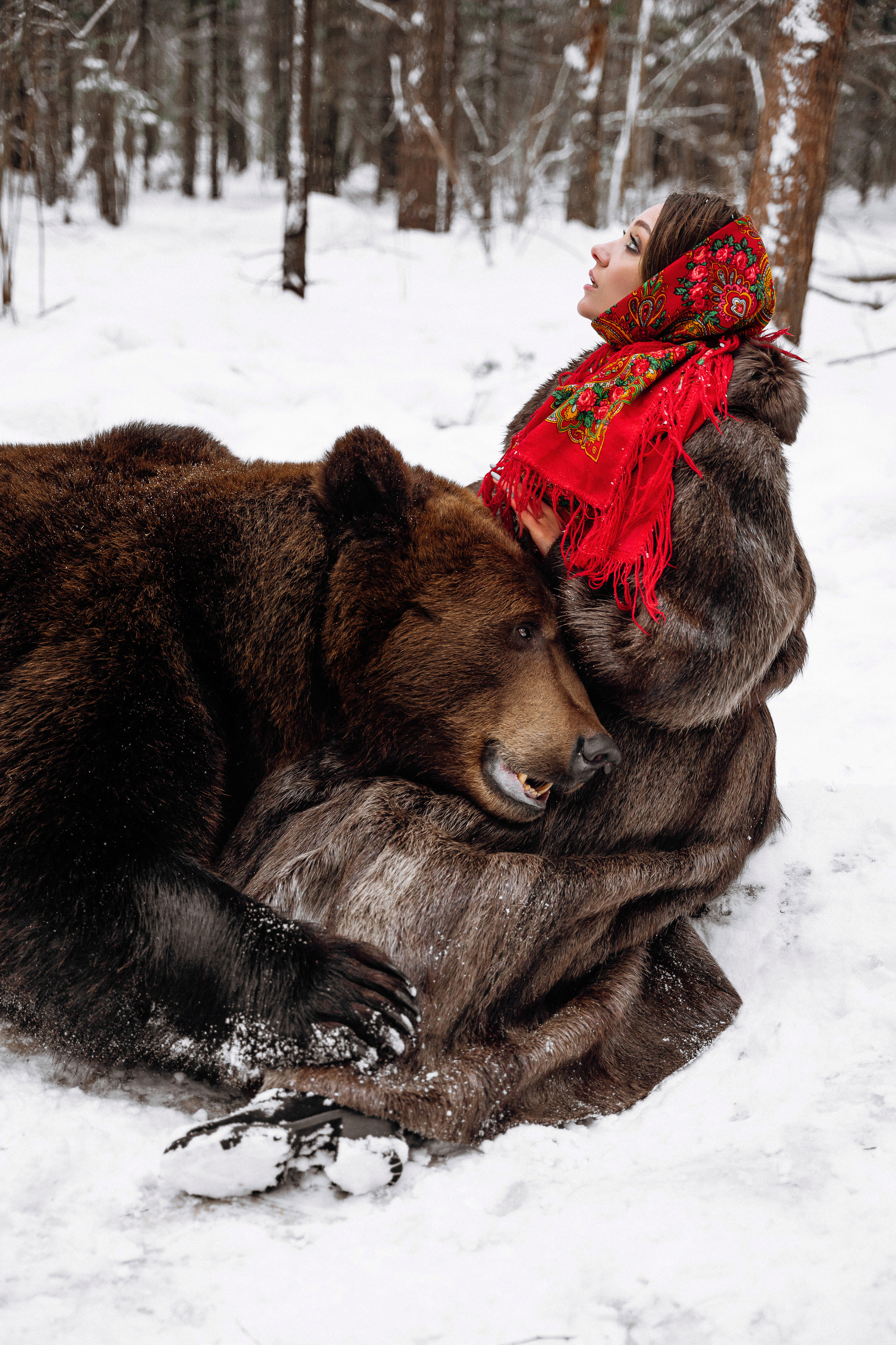 Фотосессия с медведем в Москве. Фотограф в Смоленске Ольга Давыдова