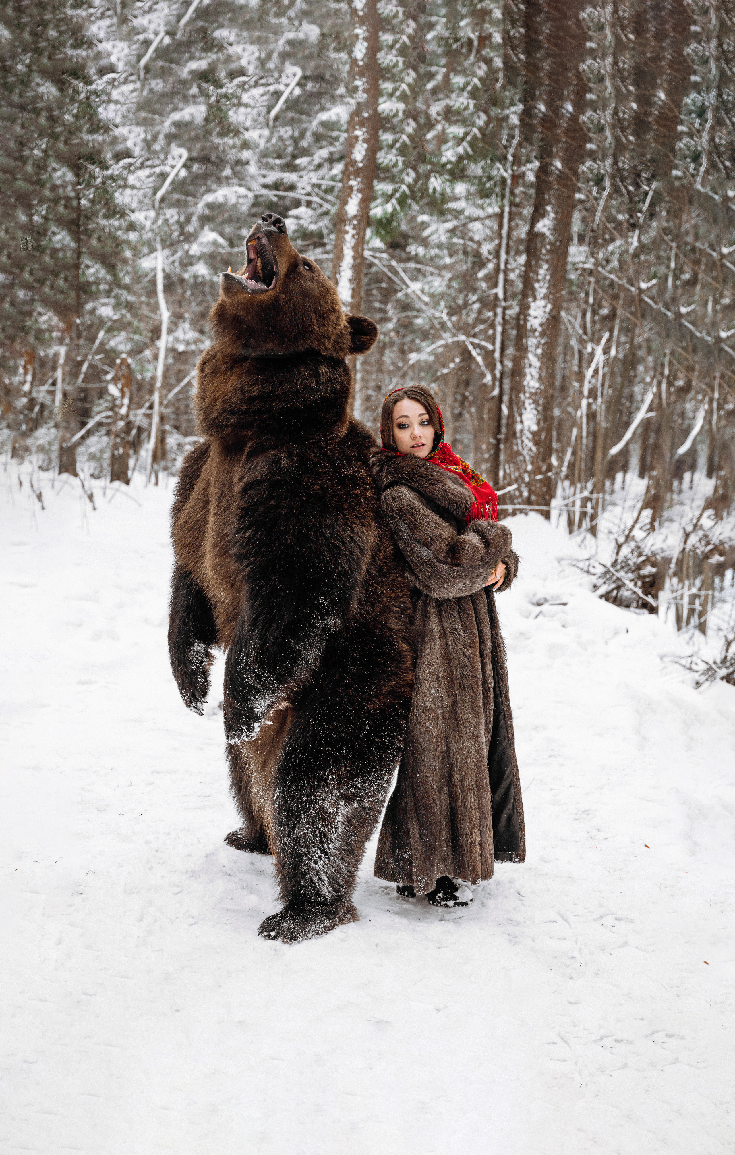 Фотосессия с медведем в Москве. Фотограф в Смоленске Ольга Давыдова