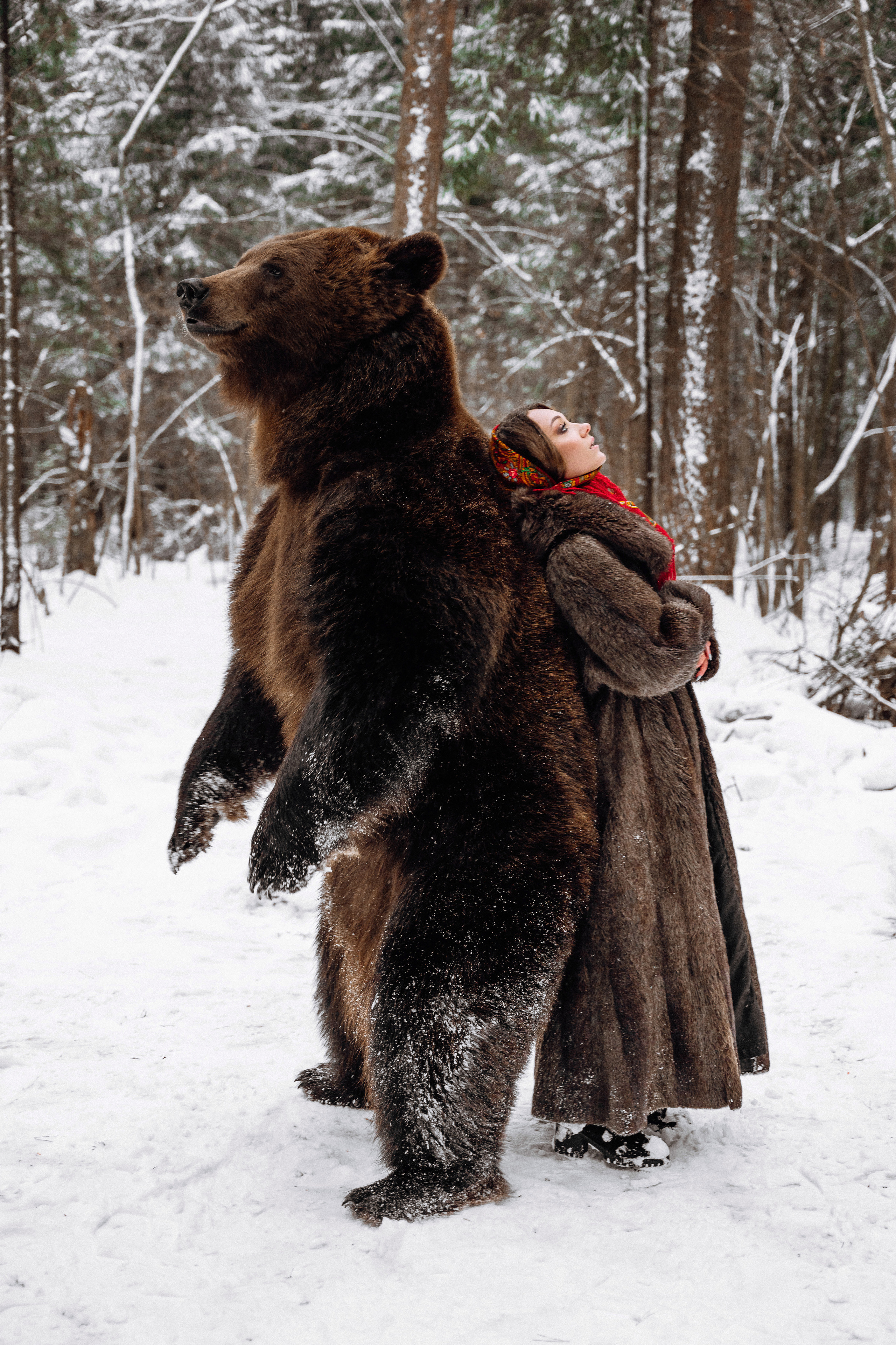 Фотосессия с медведем в Москве. Фотограф в Смоленске Ольга Давыдова