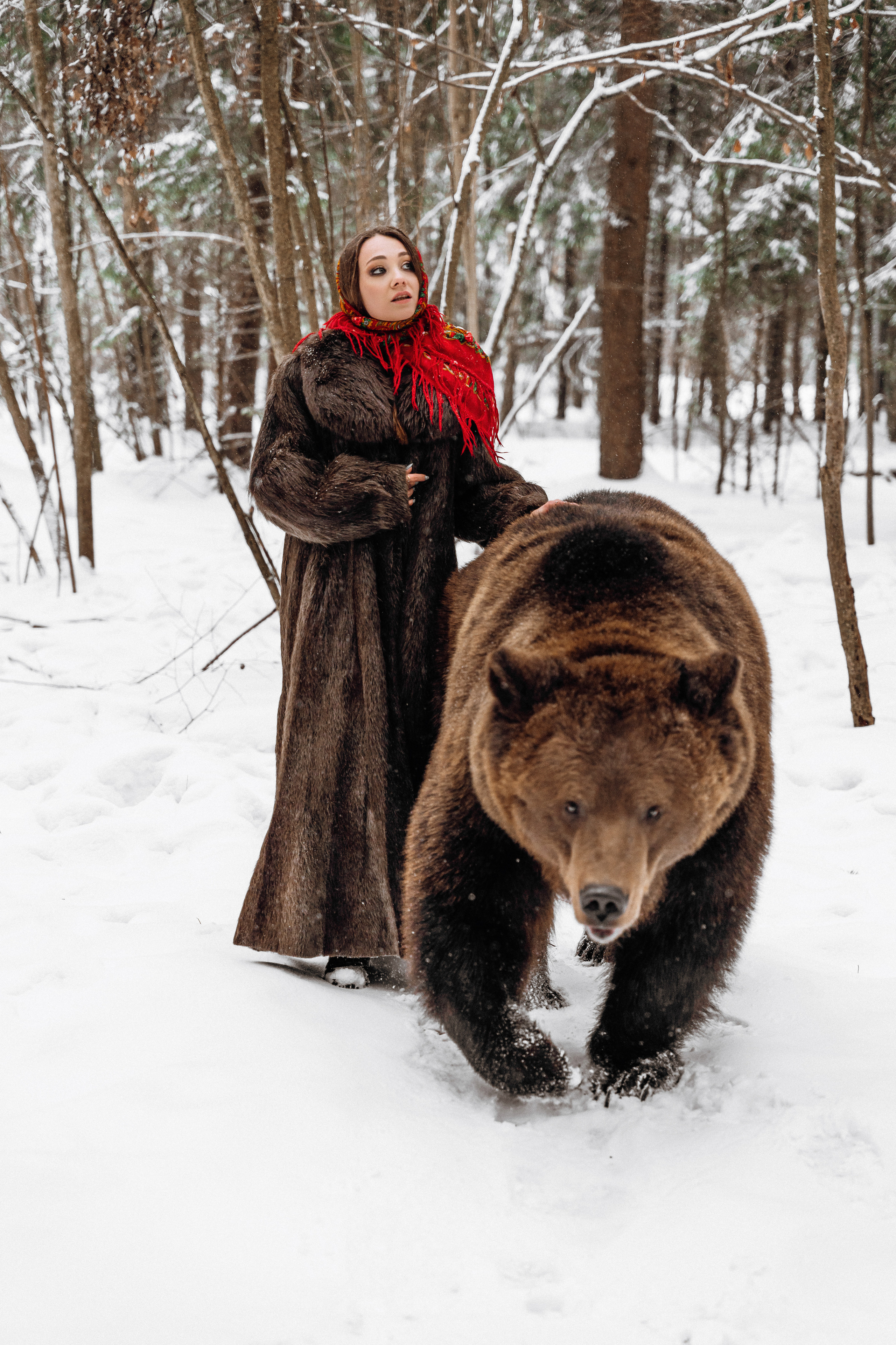 Фотосессия с медведем в Москве. Фотограф в Смоленске Ольга Давыдова