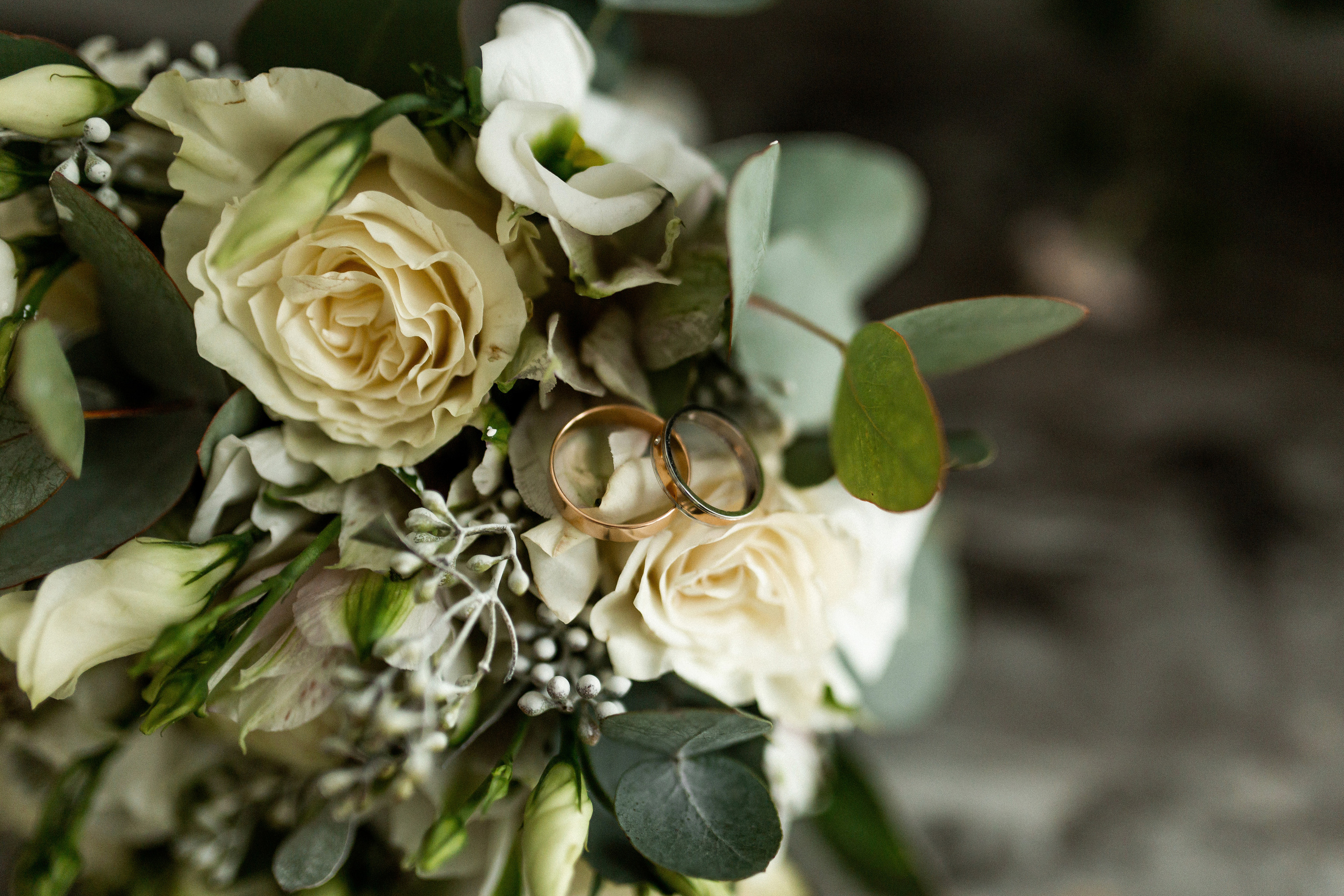 Дмитрий и Анастасия 25.11.2022. Фотограф в Смоленске Ольга Давыдова