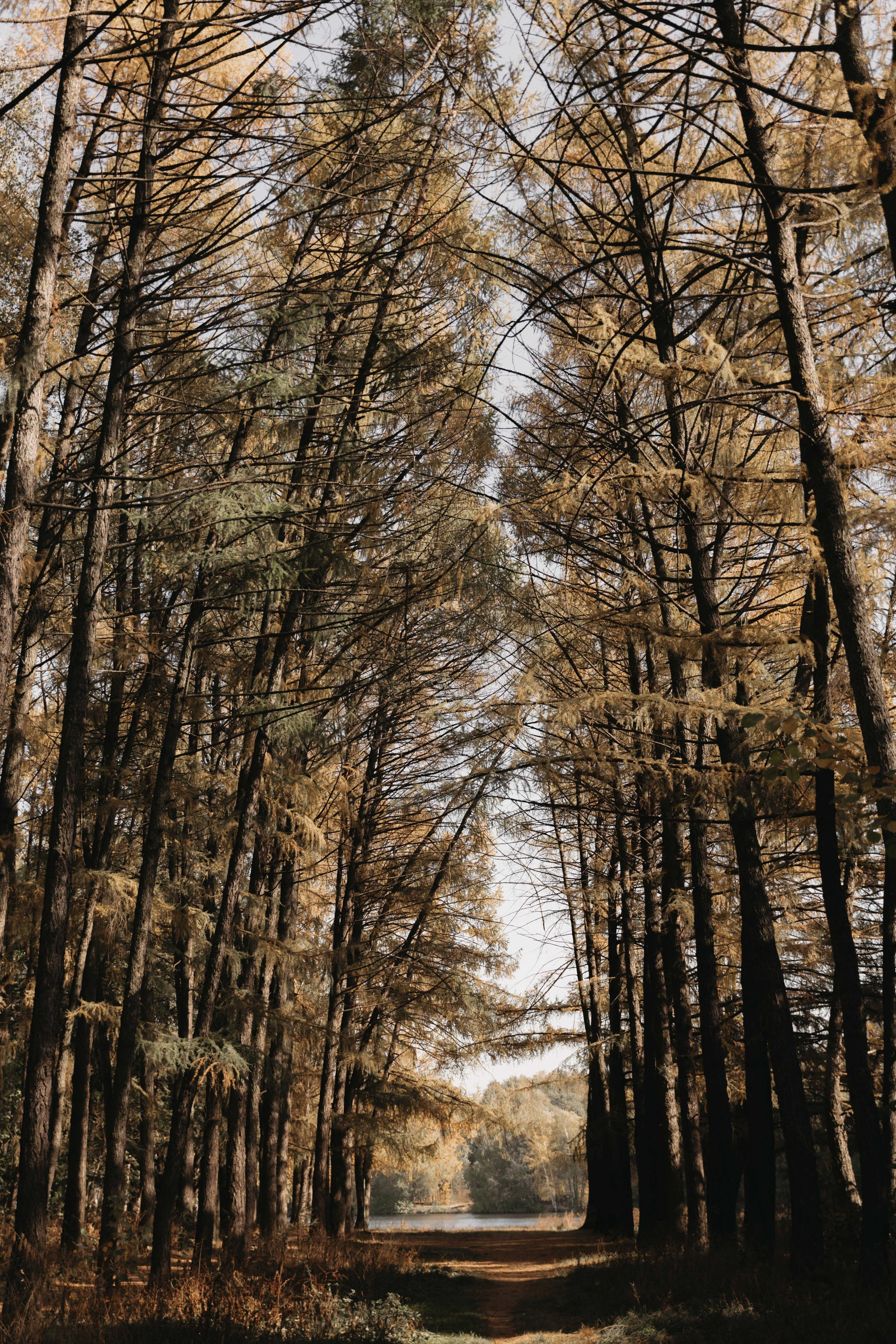 Ю & В. Женский и свадебный фотограф Москва Елизавета Перова