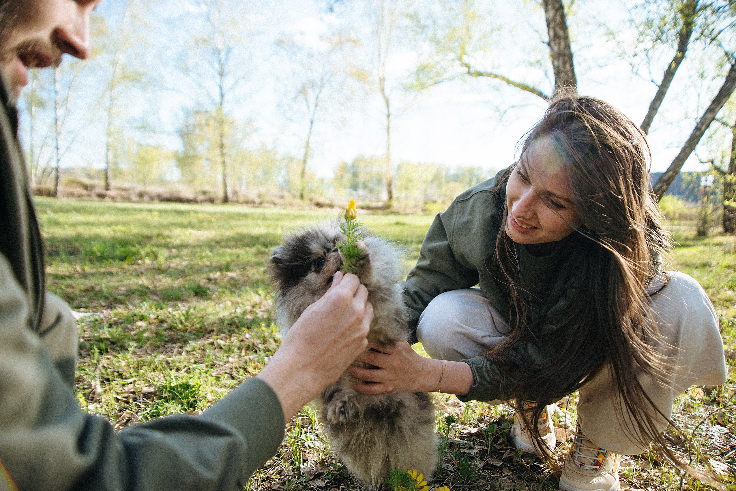 Прогулочная фотосессия lovestory с собачкой. Семейный фотограф Дарья Едапина Новосибирск. Фотограф Дарья Едапина Новосибирск