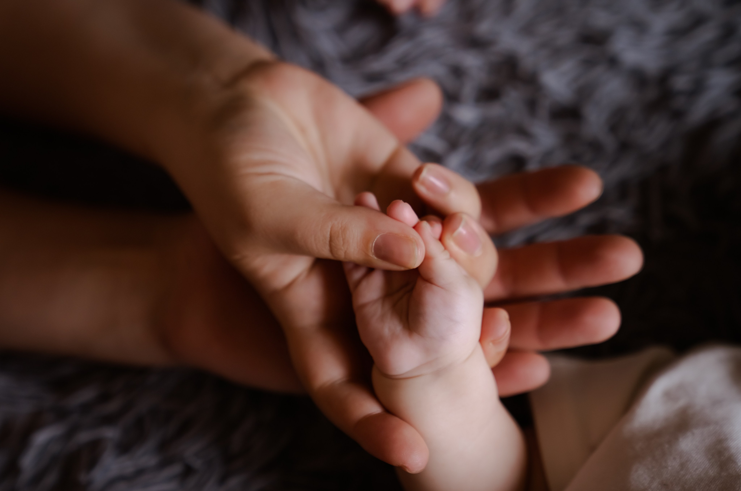 Кроха. Фотограф в Ростове-на-Дону Анна Малахова