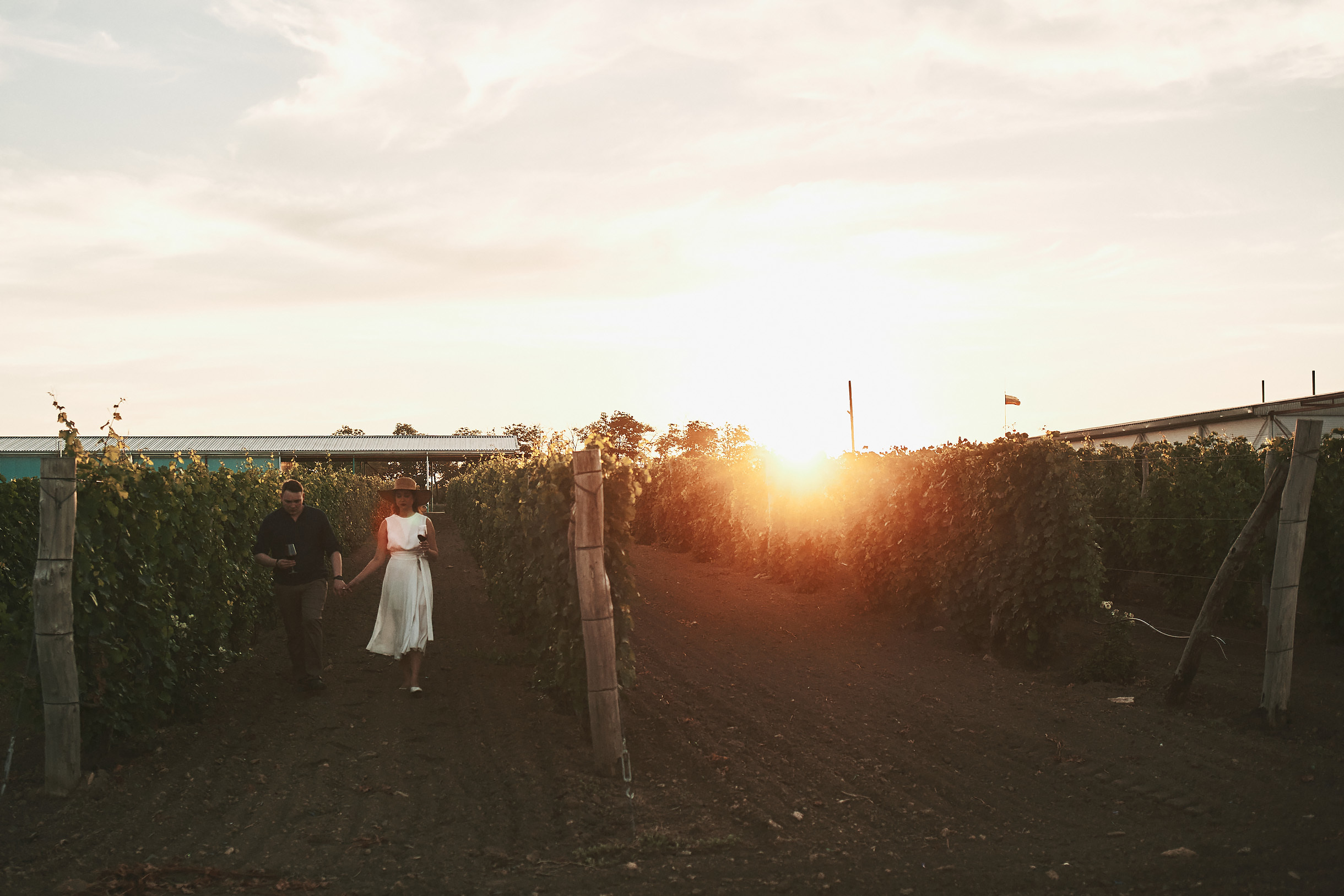 Виноградники Благолюбова. Свадебный и семейный фотограф Владимир Карамышев