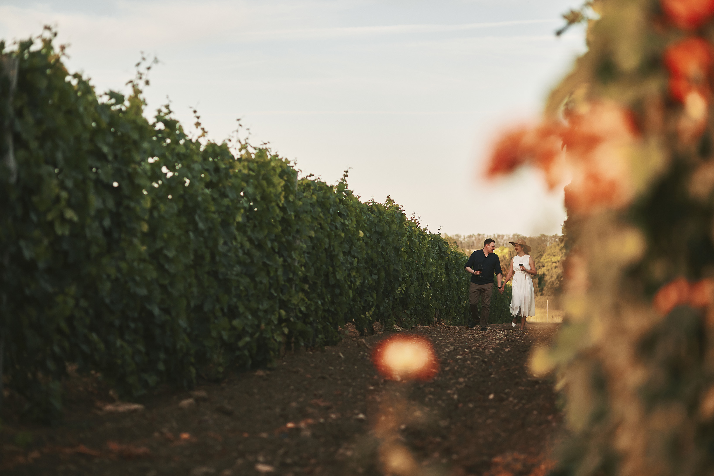 Виноградники Благолюбова. Свадебный и семейный фотограф Владимир Карамышев