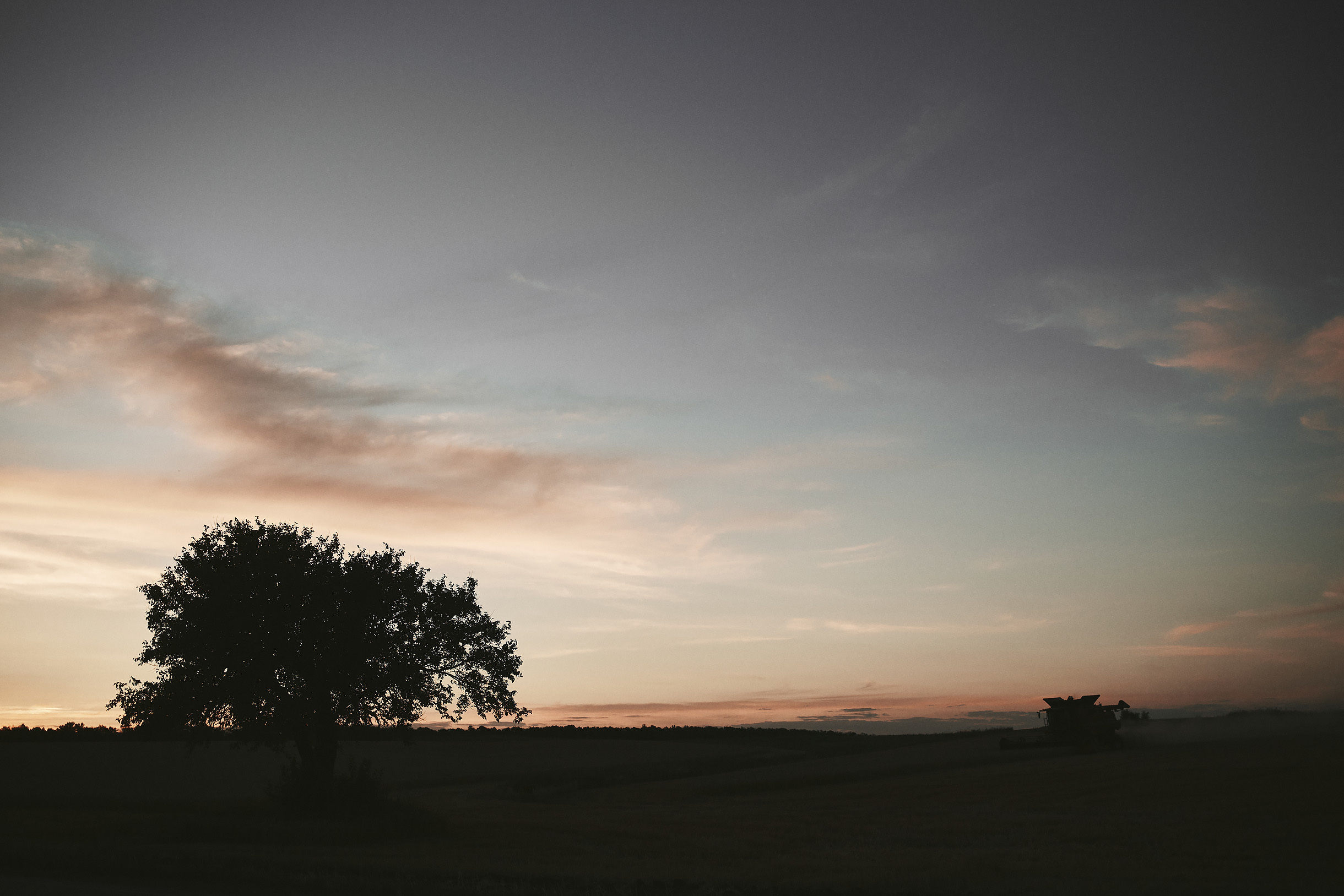 Виноградники Благолюбова. Свадебный и семейный фотограф Владимир Карамышев