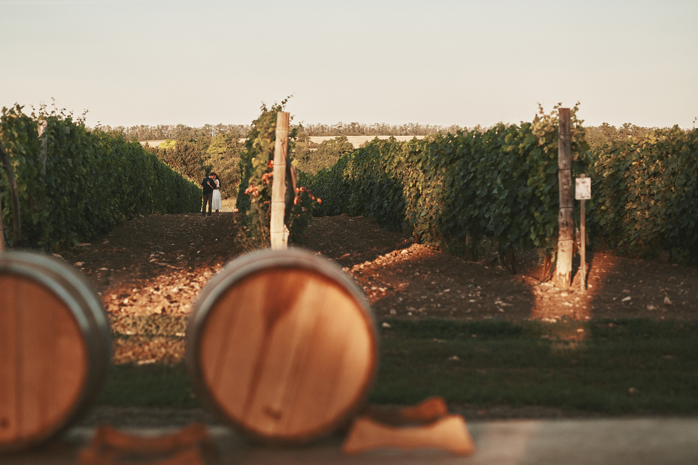 Виноградники Благолюбова. Свадебный и семейный фотограф Владимир Карамышев