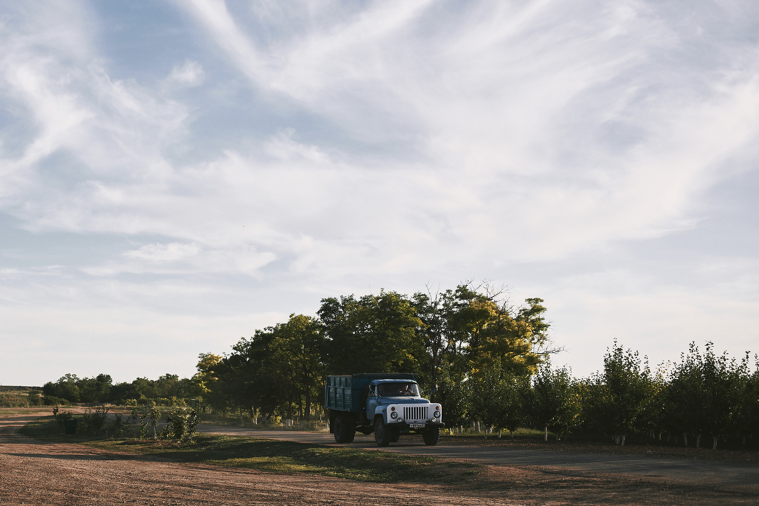 Виноградники Благолюбова. Свадебный и семейный фотограф Владимир Карамышев