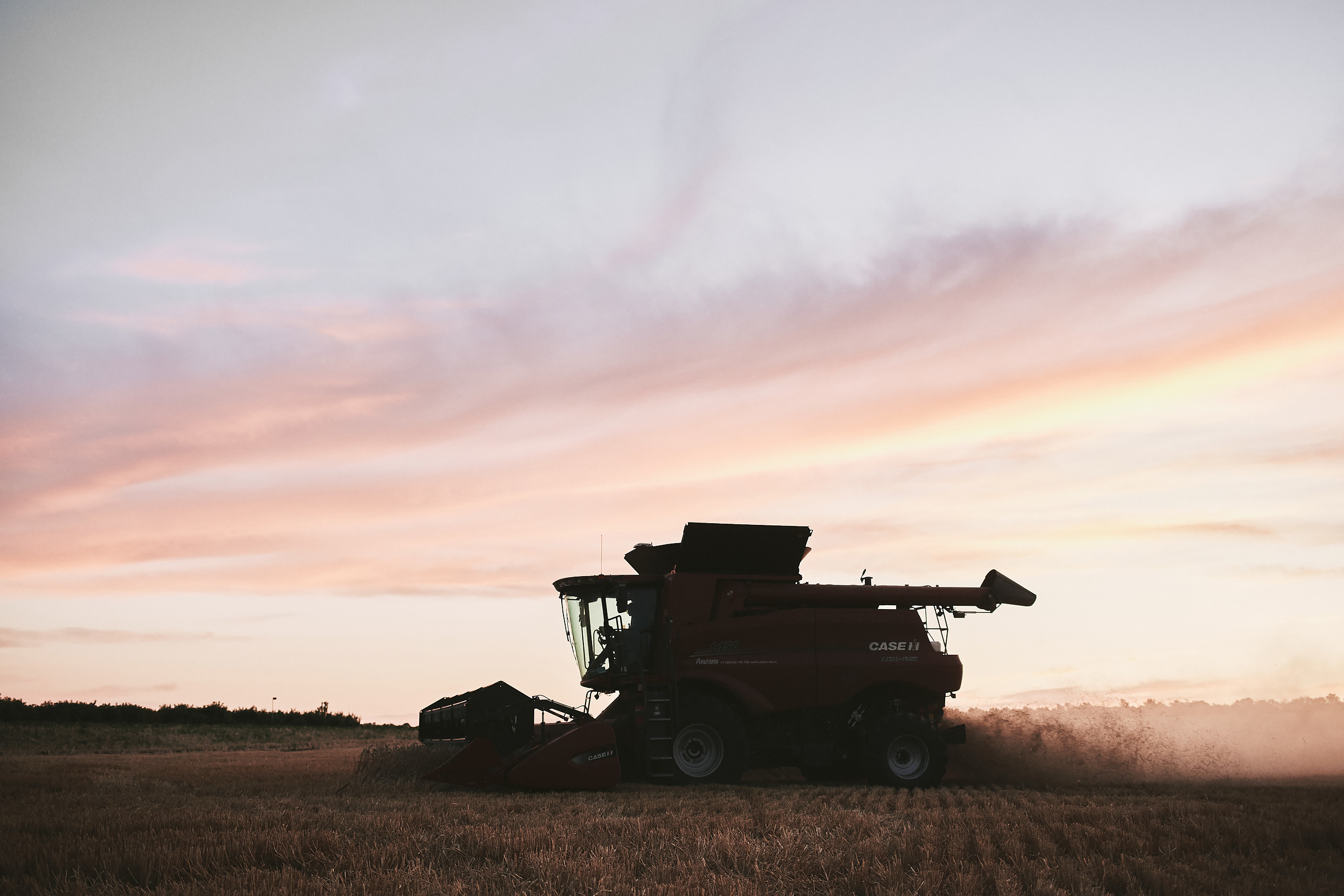 Виноградники Благолюбова. Свадебный и семейный фотограф Владимир Карамышев