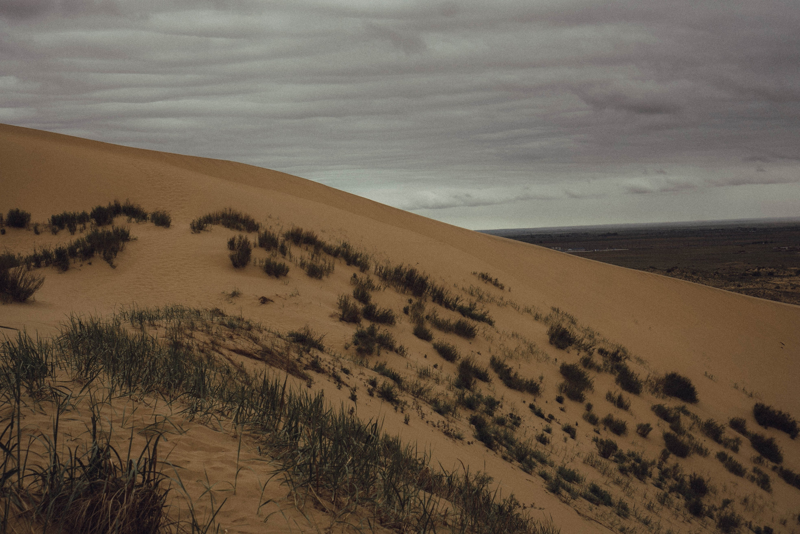 Кавказ. Профессиональный фотограф, Санкт-Петербург — Виктория Богомолова