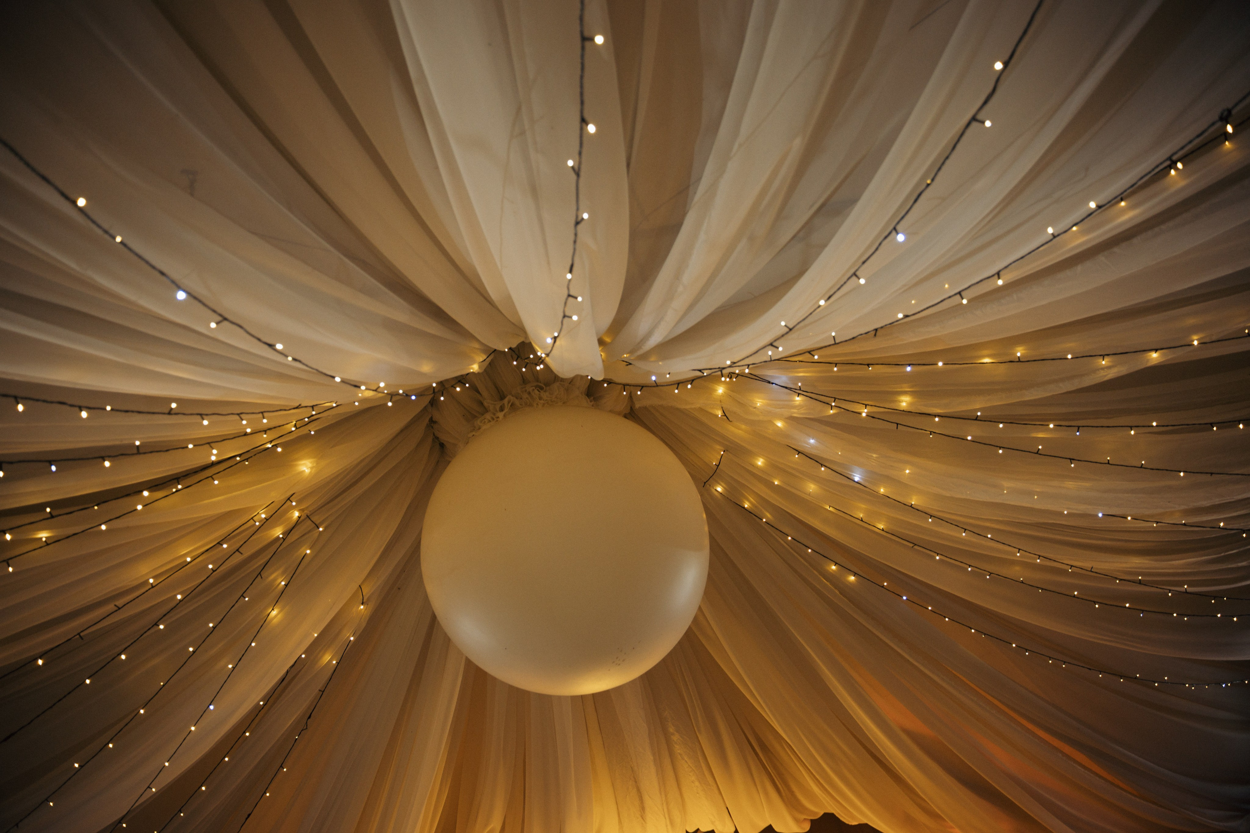 Максим и Дарья. Свадебный и портретный фотограф в Брянске и Москве Алина Химушкина