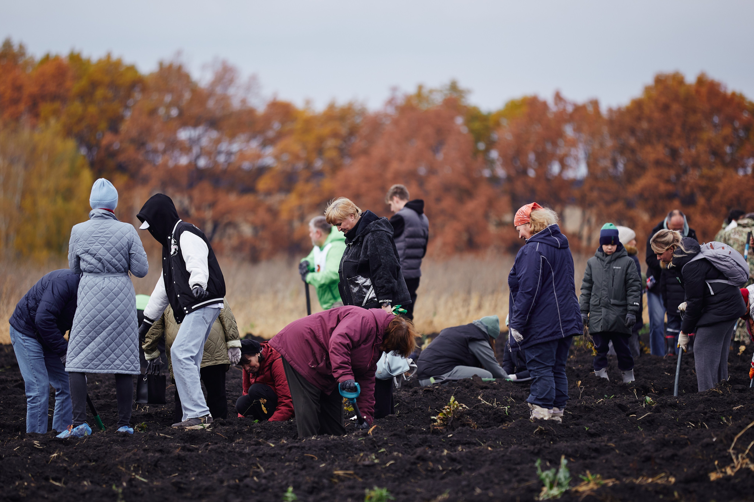 Акция «Зелёная Дубрава» на Куликовом поле. Даниил Гузиенко — репортажный фотограф в Туле