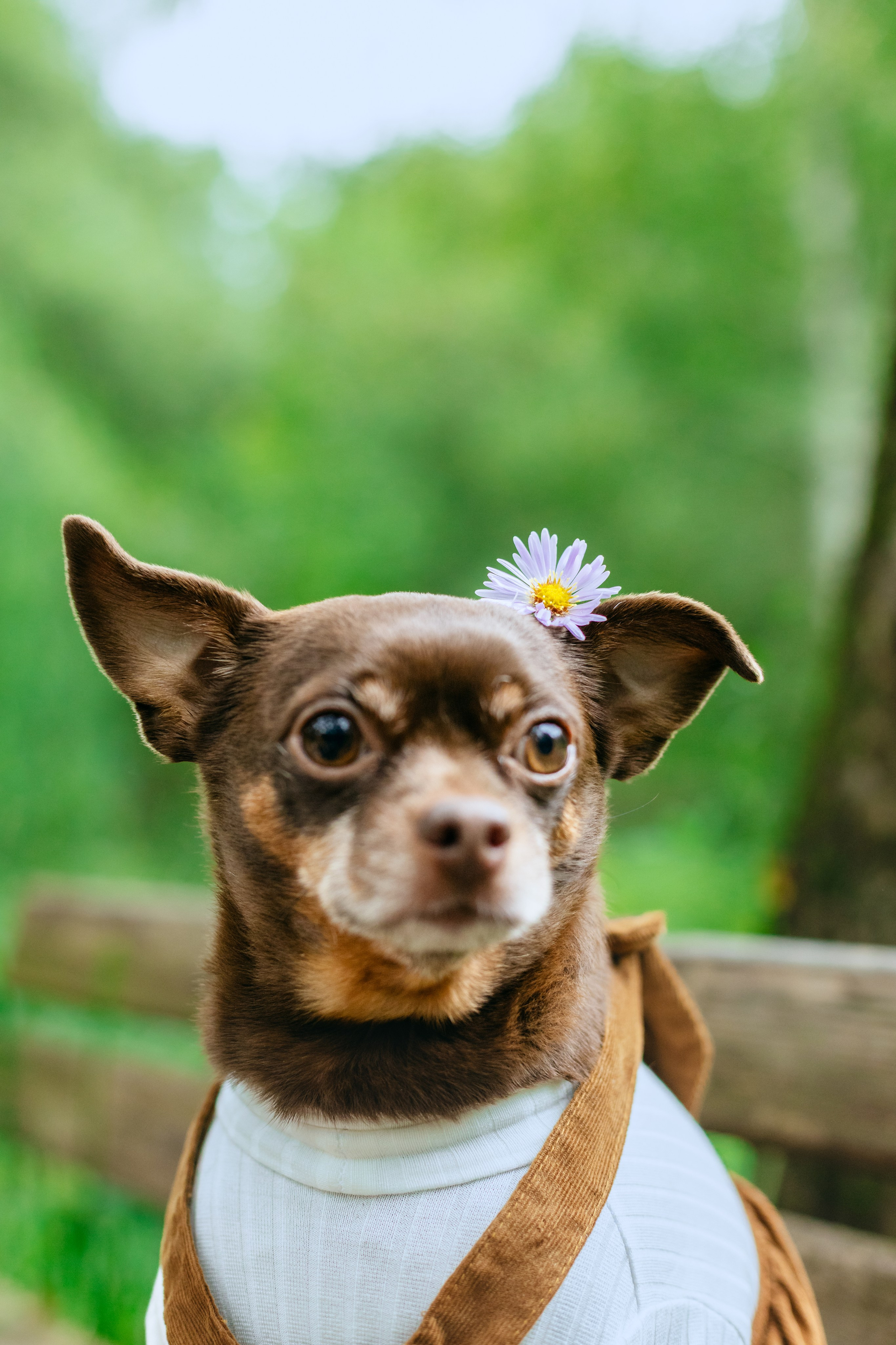 Юля и Леонид. Фотограф-анималист Татьяна Степанова