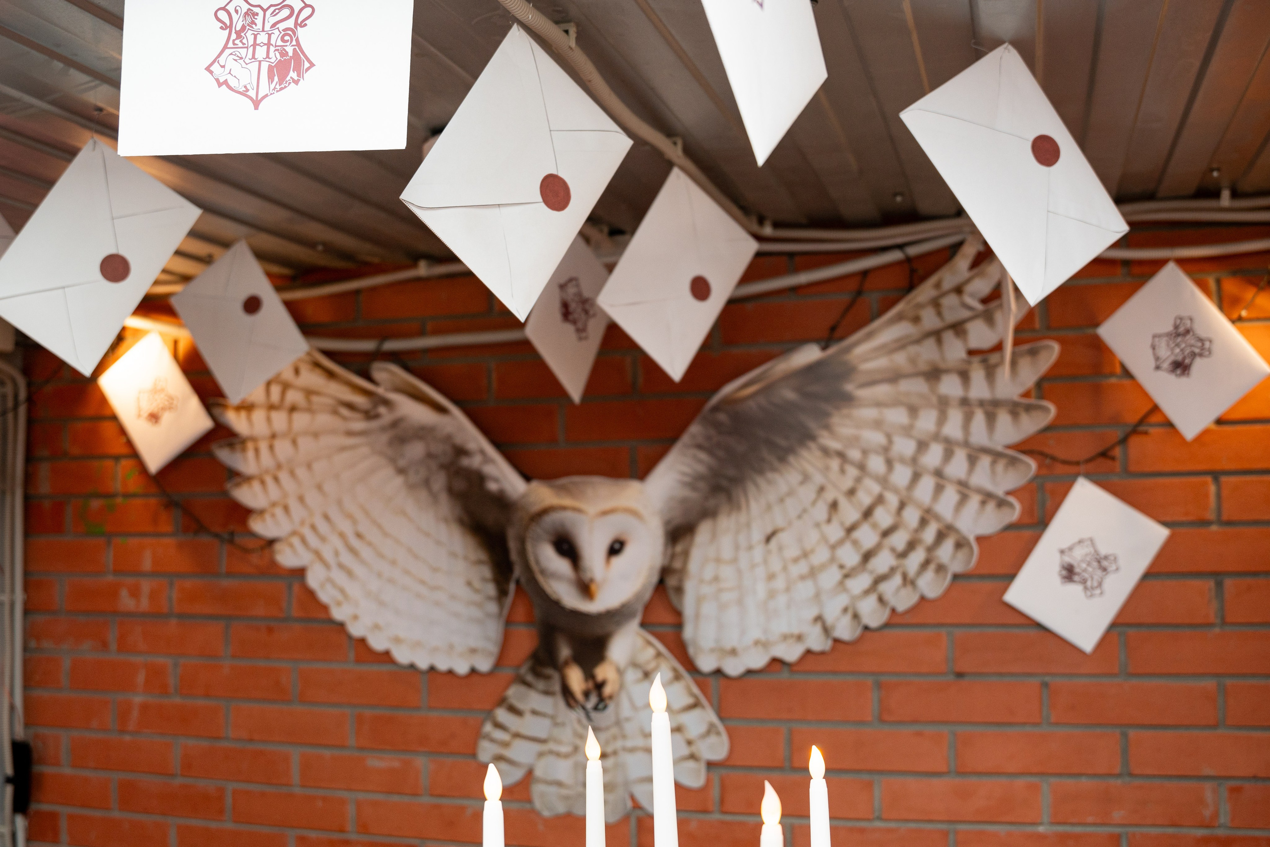 ДР МАШИ. Фотограф на любое мероприятие