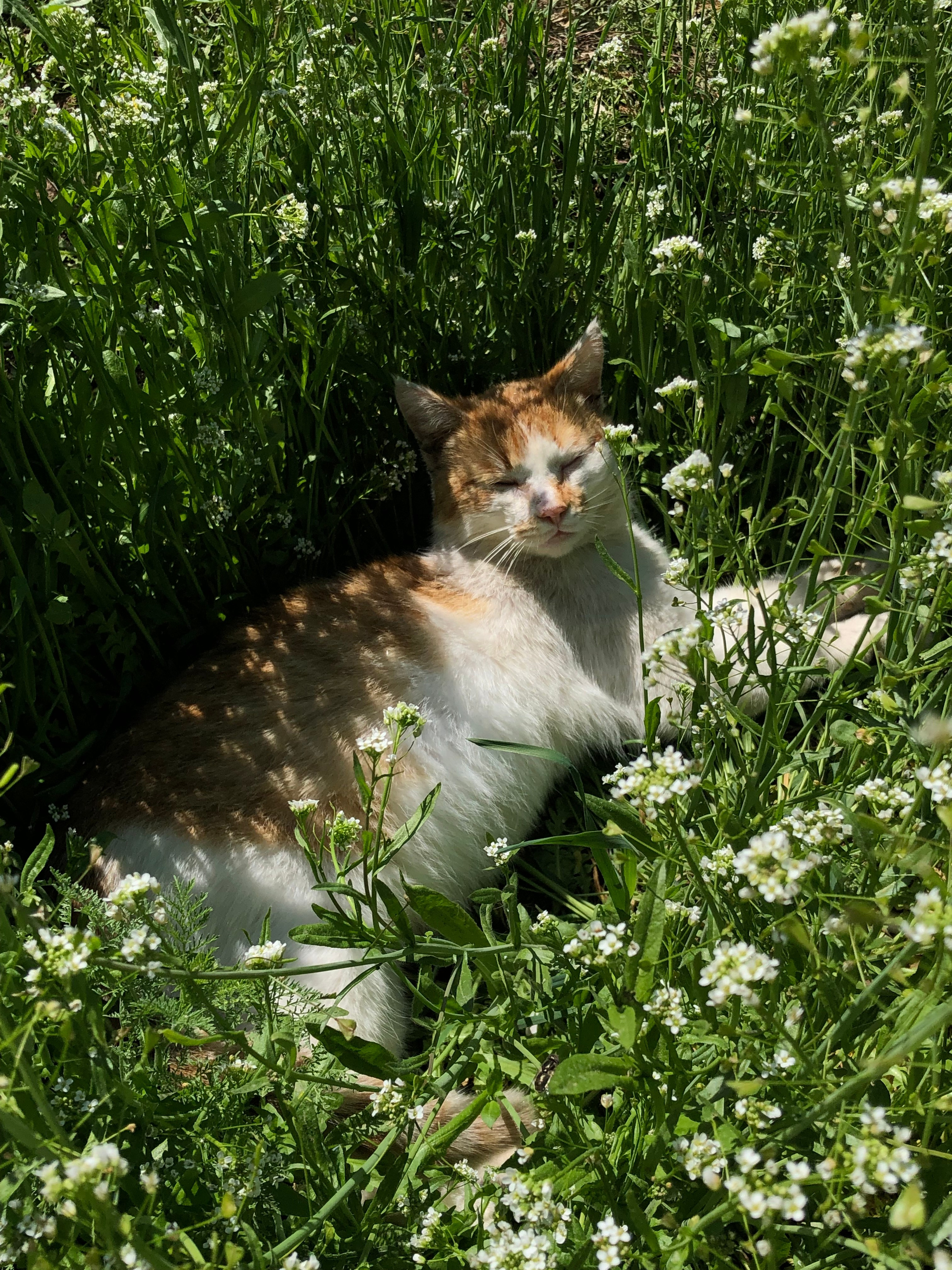 Визуальный дневник. Портретный фотограф в Москве Гахраманова Екатерина