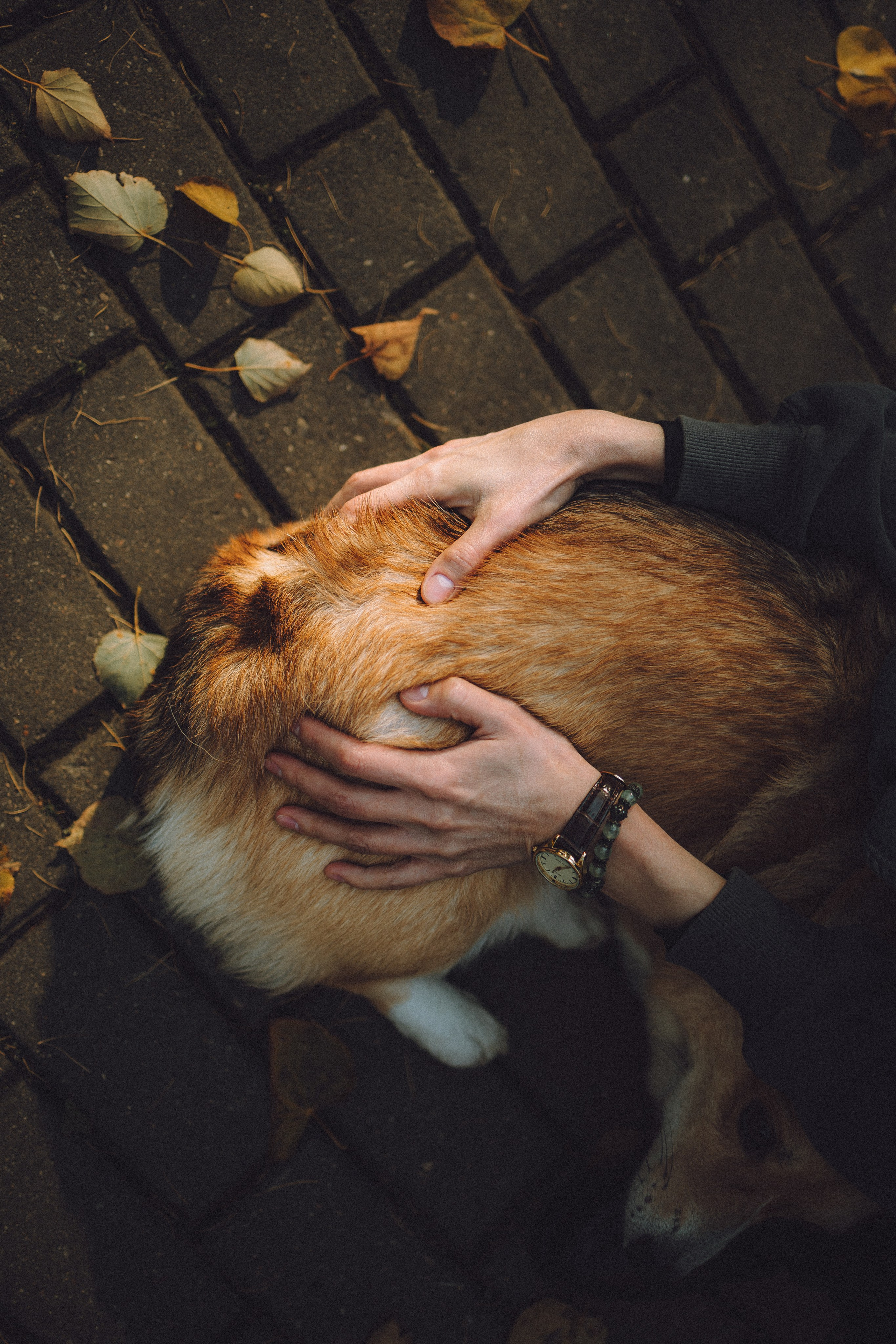 Карина, Даня и Аркаша