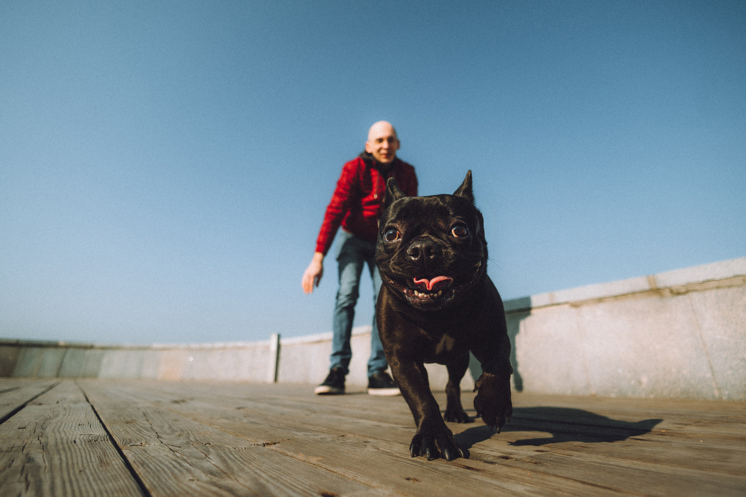 Саша, Дима и Шпуля