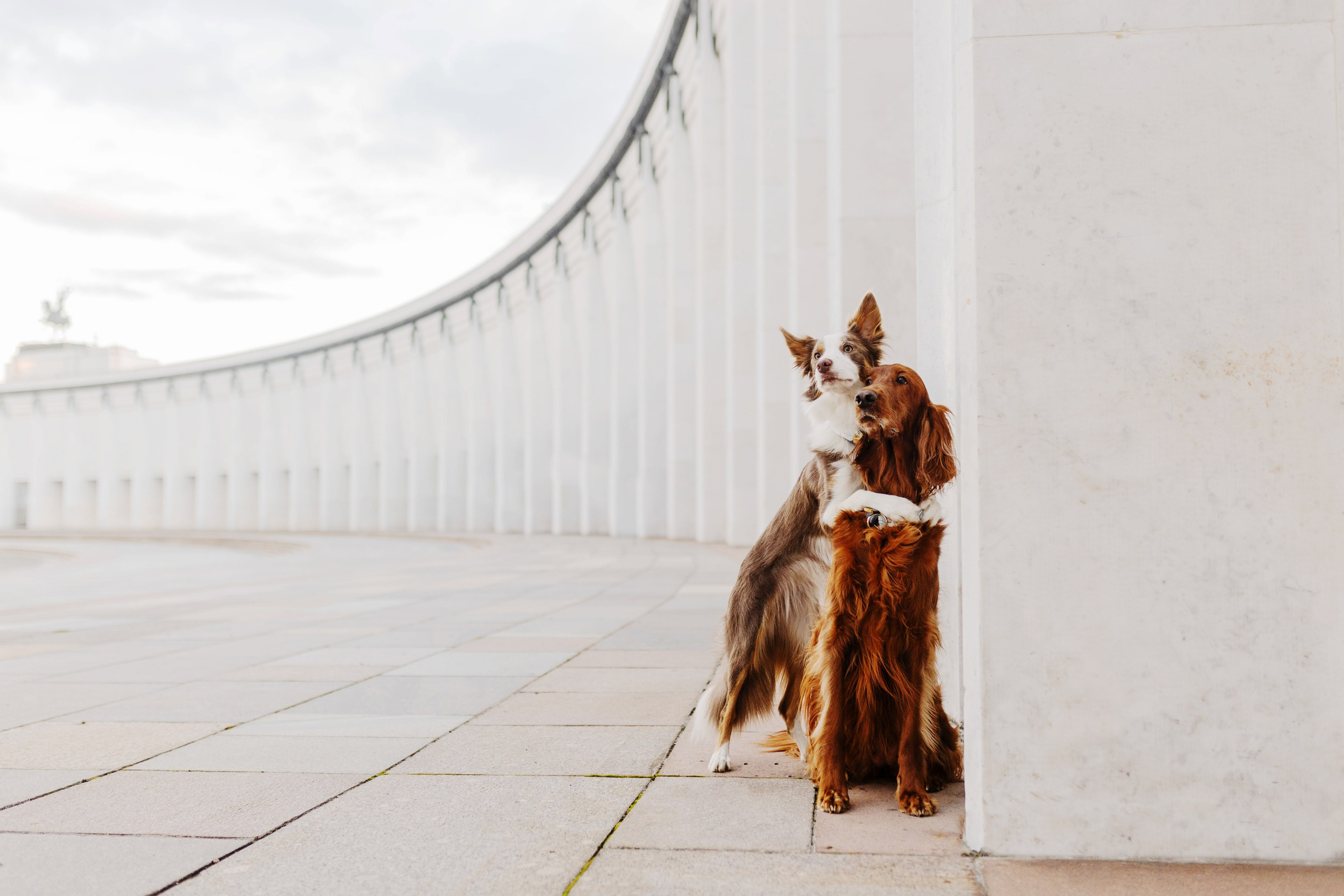 Москва / Маша, Лика и Рафта. Фотограф Кузина Вера