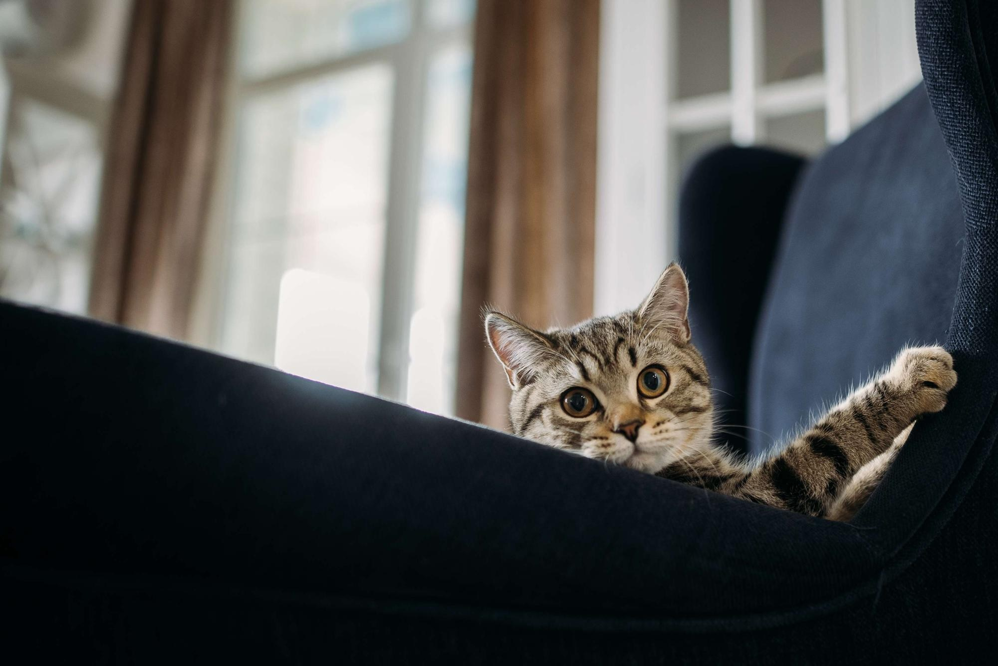 СЕМЕЙНЫЕ ВЫХОДНЫЕ. Свадебный фотограф в Ставрополе Сергей Шляхов