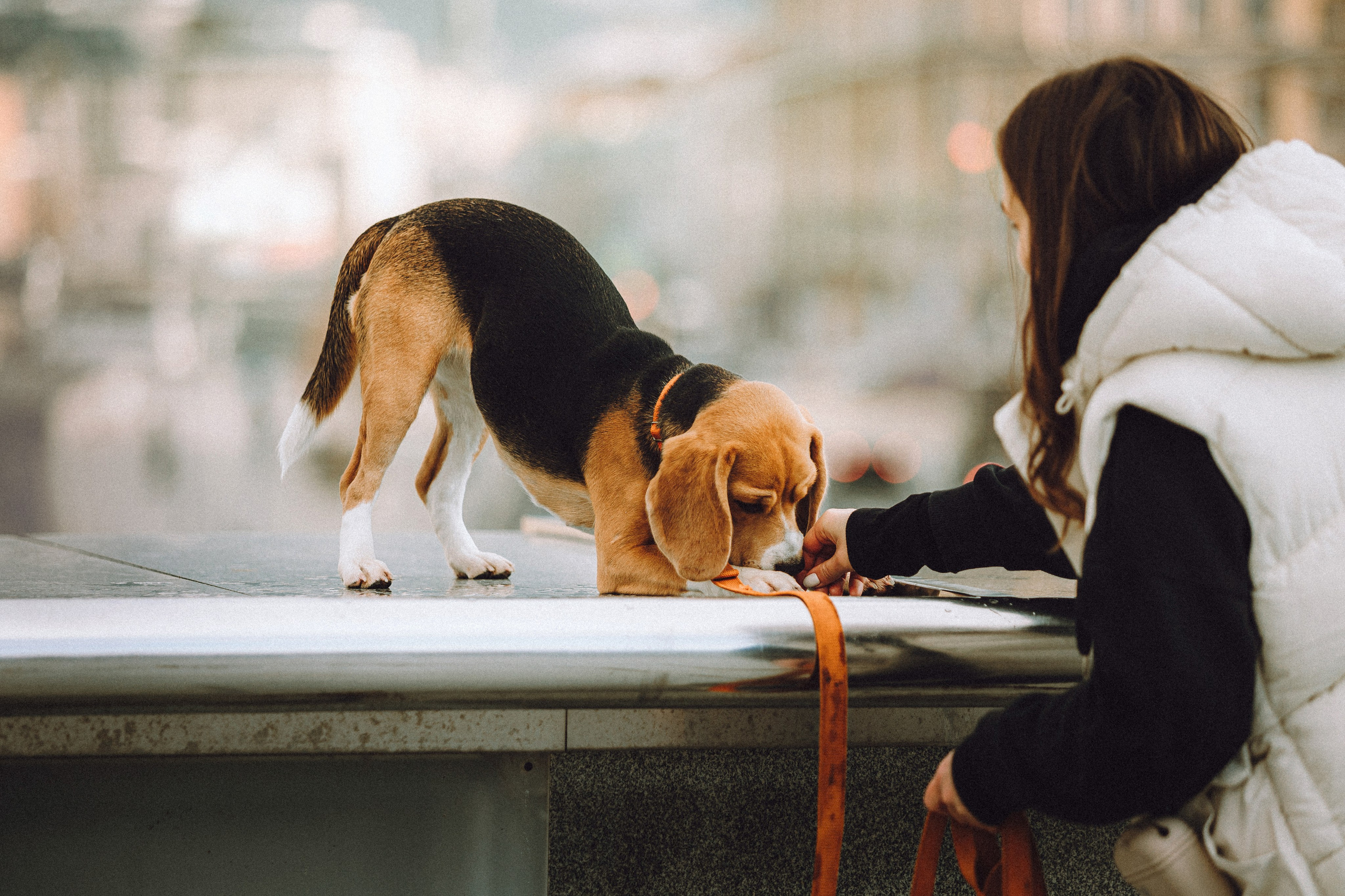 Ксюша и Мэгги