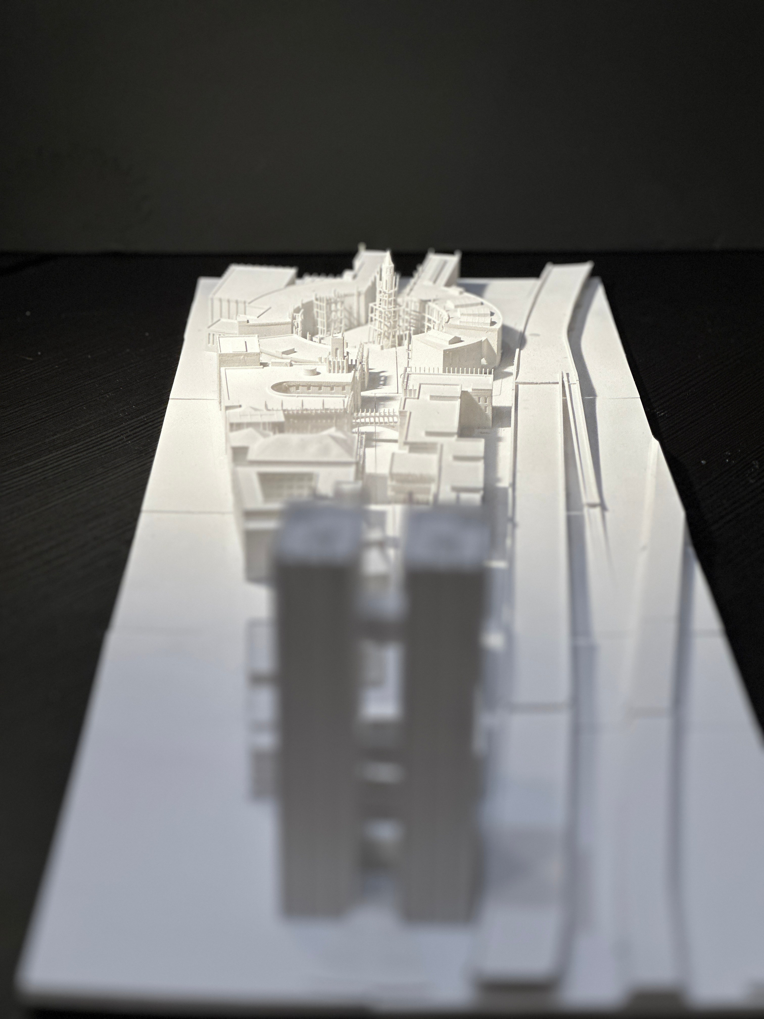 Дипломный Макет для Лизы О. 3D печать