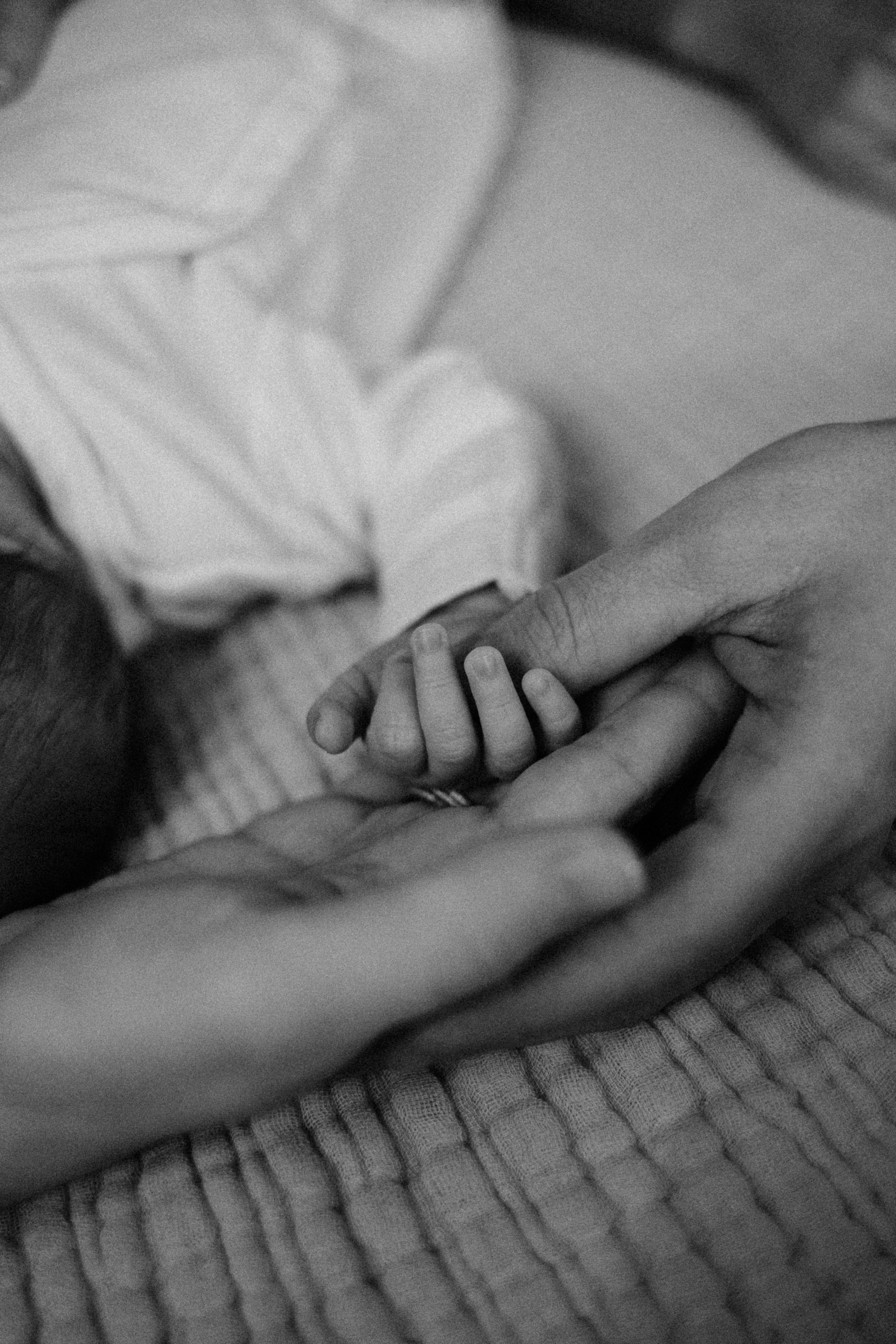 Анастасия/Андрей/Арина/2025. Свадебный и семейный фотограф в Екатеринбурге