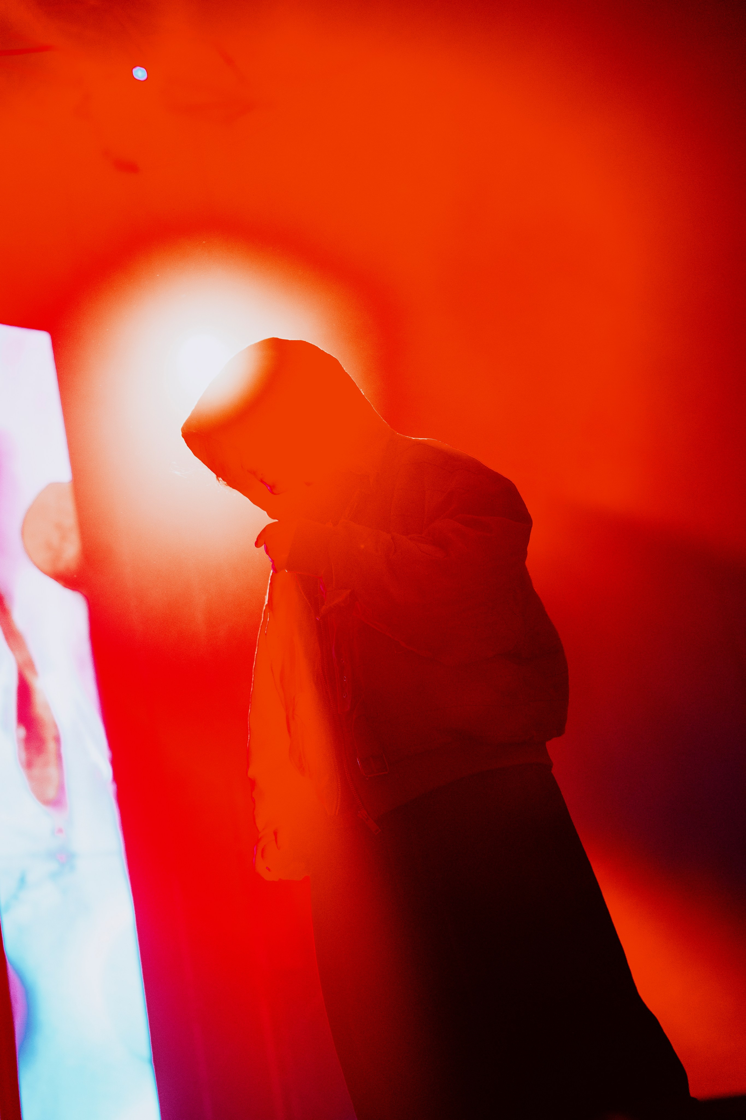 SALUKI. Фотограф в Москве и области