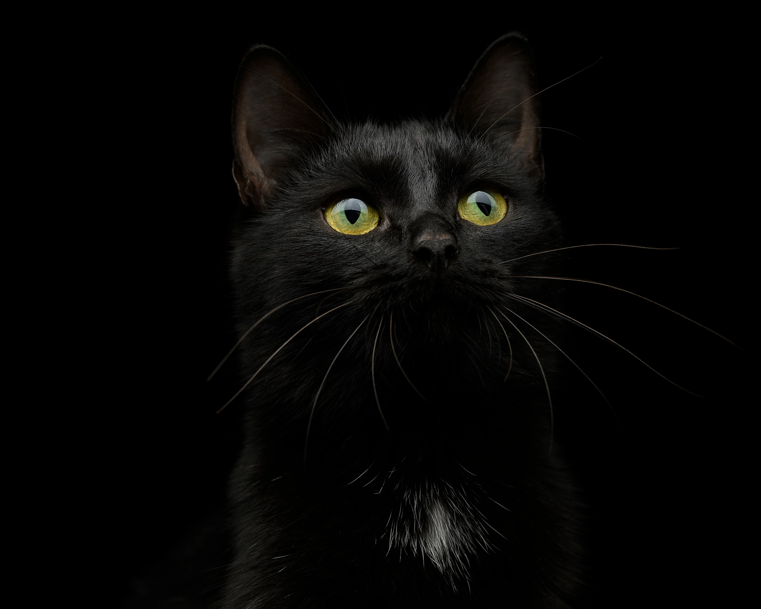 Студийные съемки. Портретный фотограф в Челябинске Катерина Руди