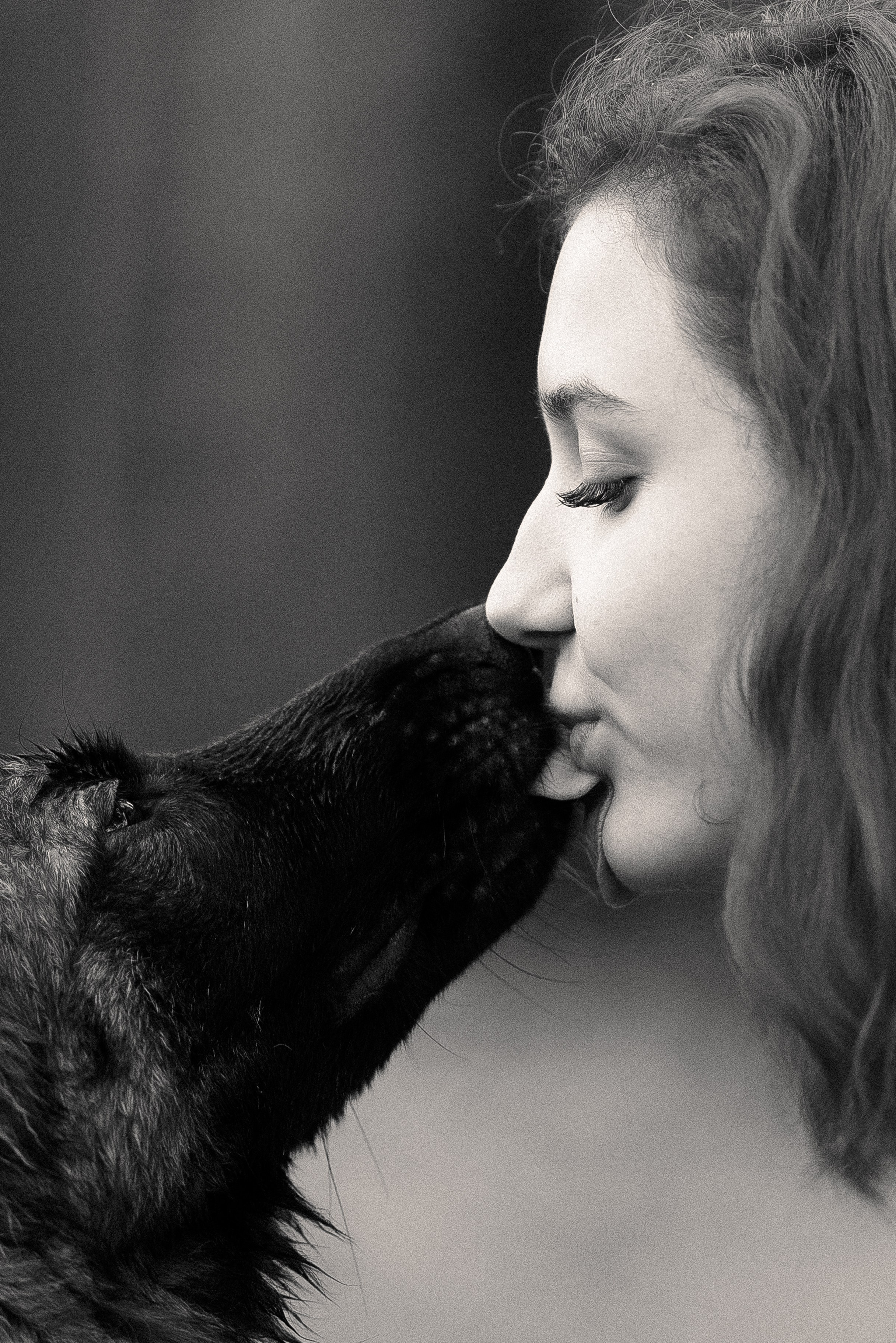 Алена, Фанни и Фрея. Фотограф и видеограф анималист Аганина Дарья