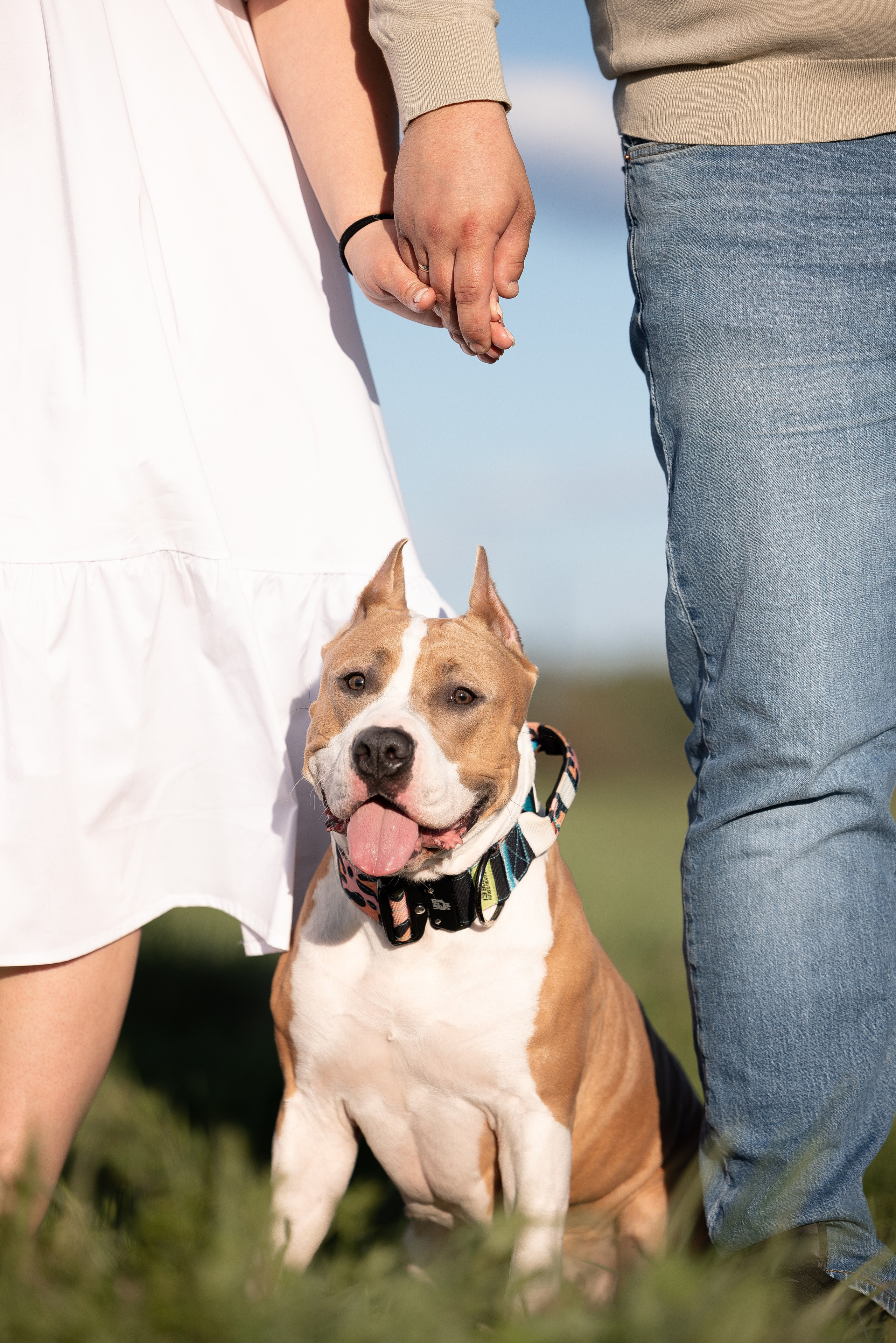 Шуня и ее семья. Фотограф и видеограф анималист Аганина Дарья