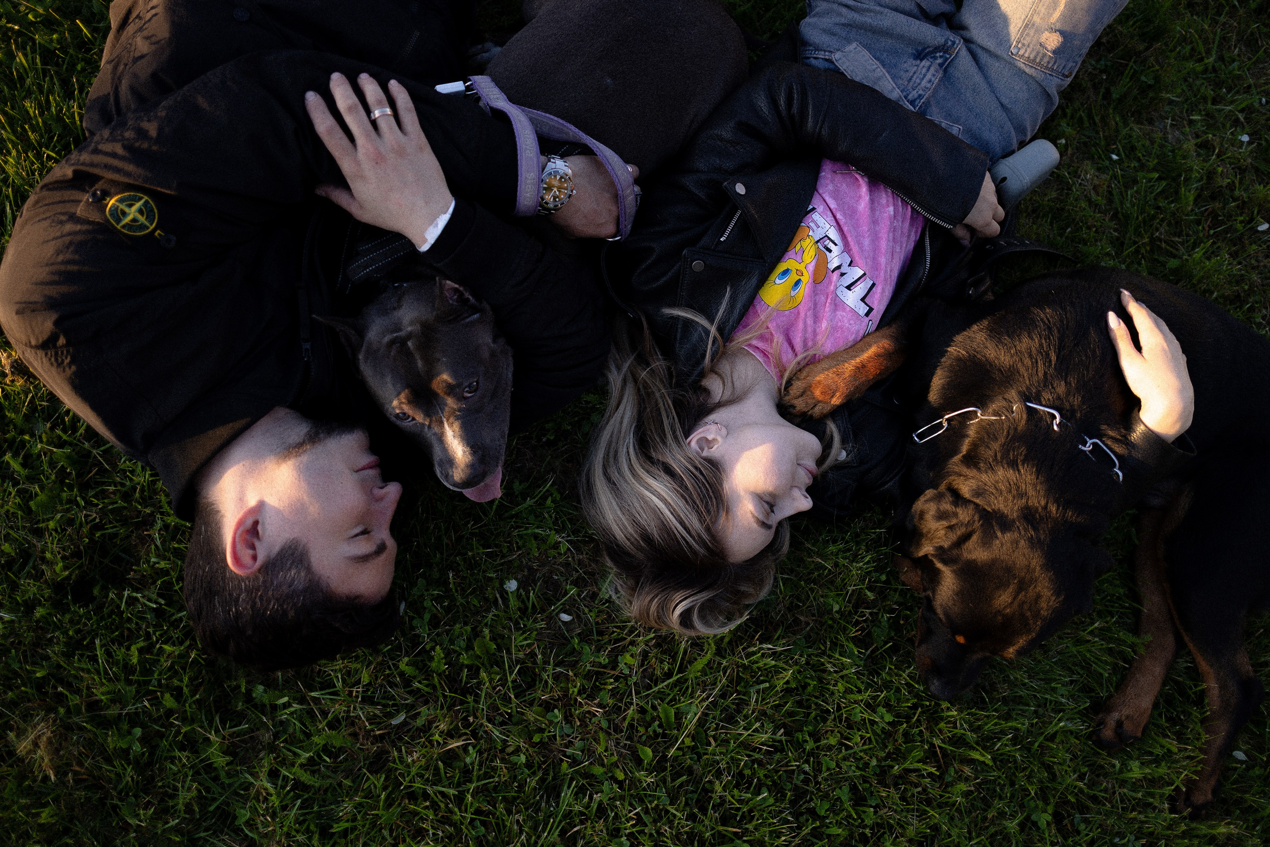 Катя, Леша, Лея и Трой. Фотограф и видеограф анималист Аганина Дарья